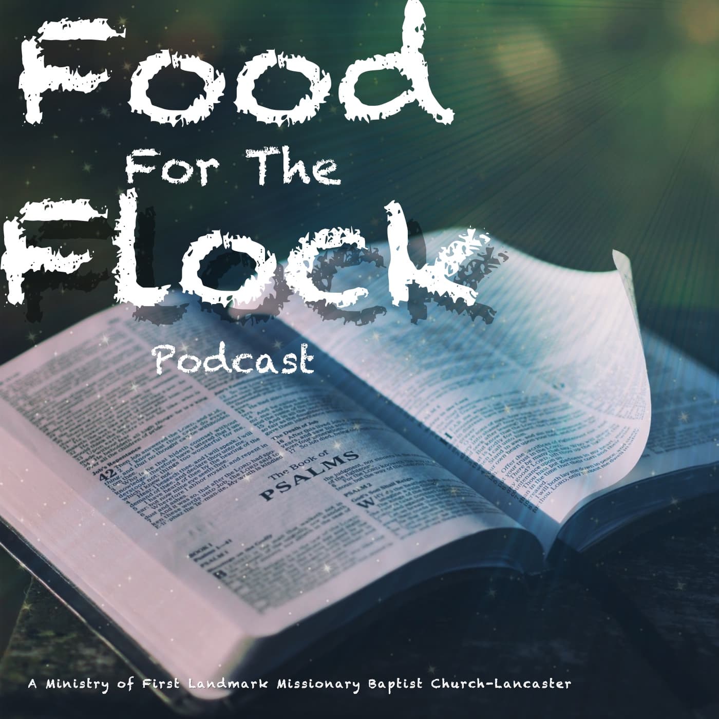 Is There Any Evidence - Food For The Flock cover