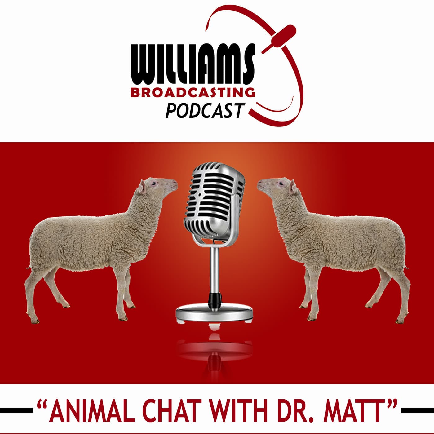 Animal Chat with Dr. Matt cover