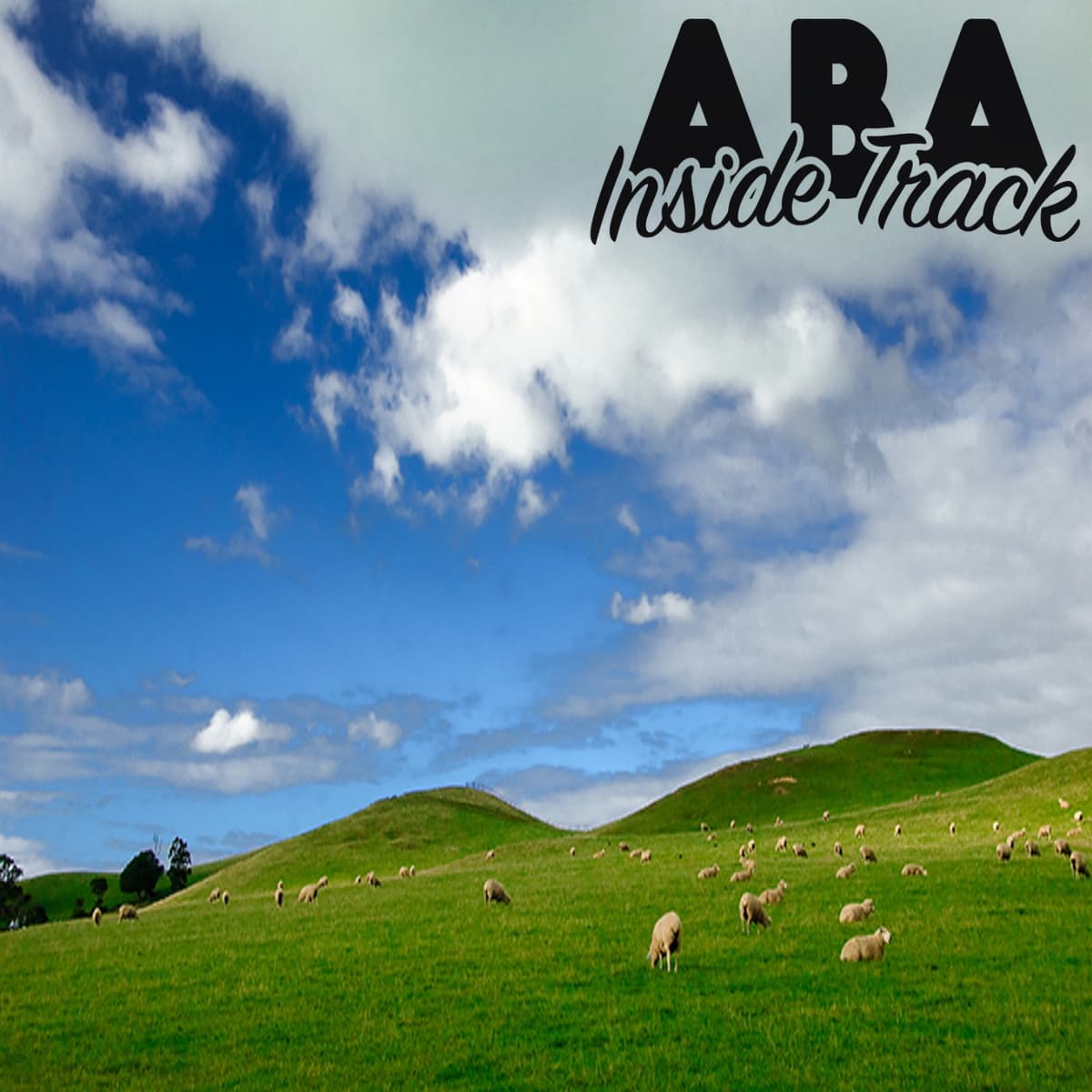 Episode 204 - Trauma-Informed Applications of ABA w/ Dr. Adithyan Rajaraman + Dr. Jennifer Austin - ABA Inside Track cover