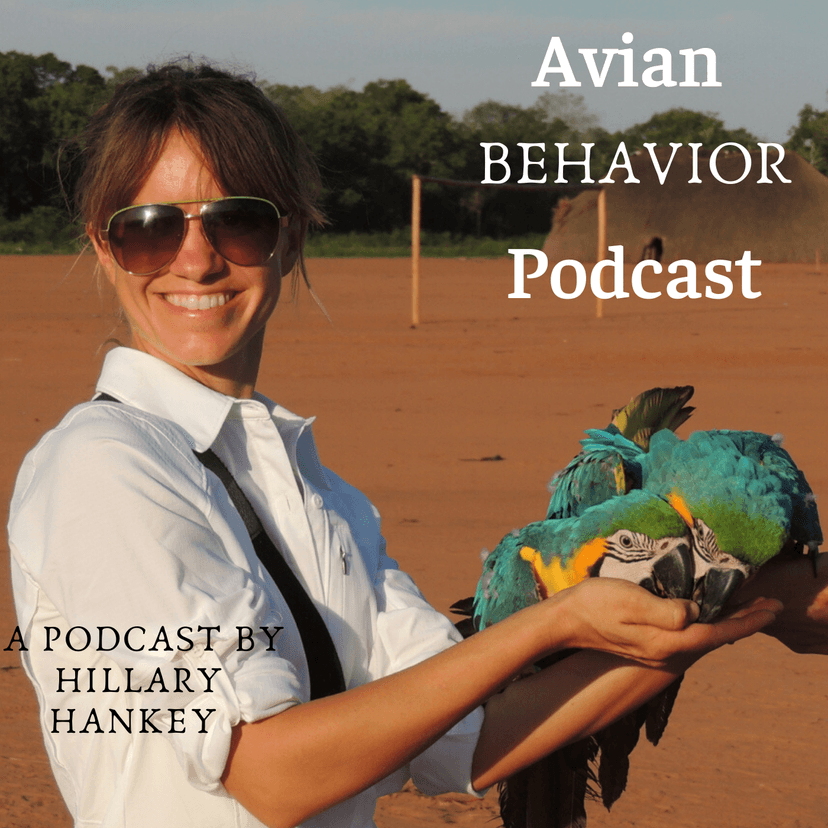 The Avian Behavior Podcast cover