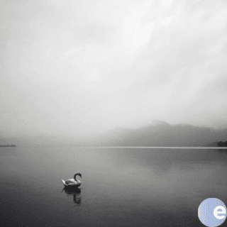 The Path Of Stillness - EncounterPodcast cover