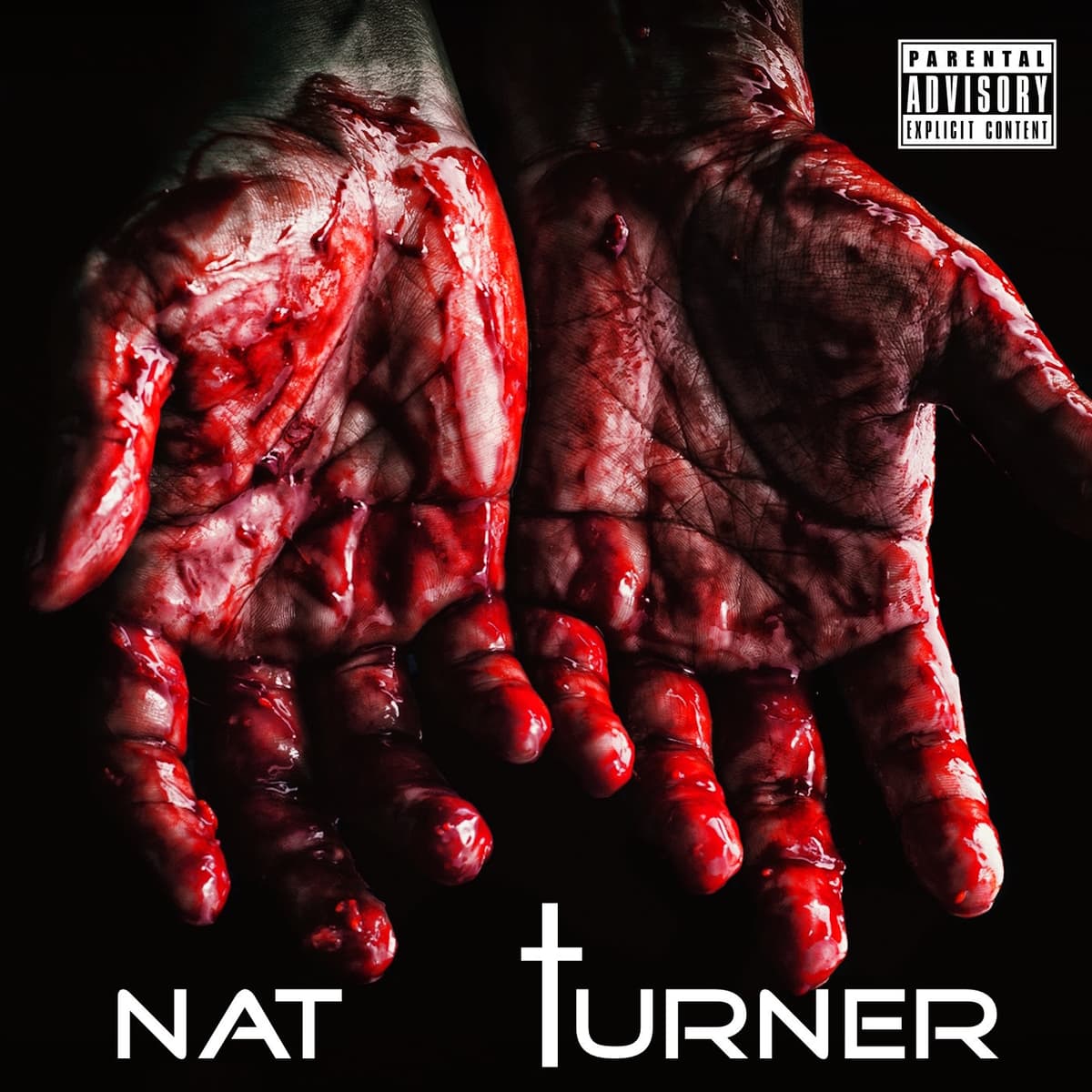 Nat Turner Podcast 3 - Nat Turner Podcast cover