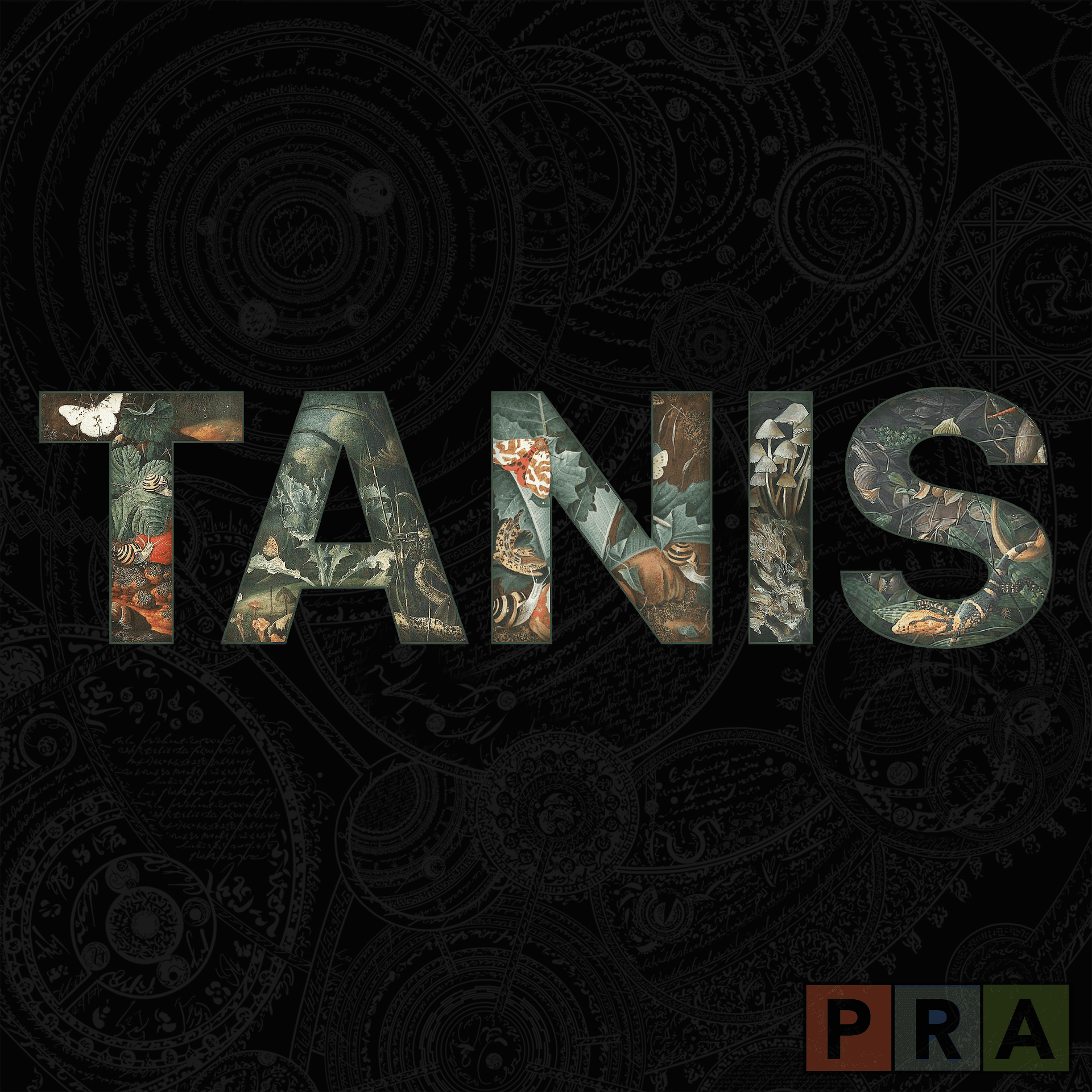 Episode 512: The Fifth Gate - TANIS cover