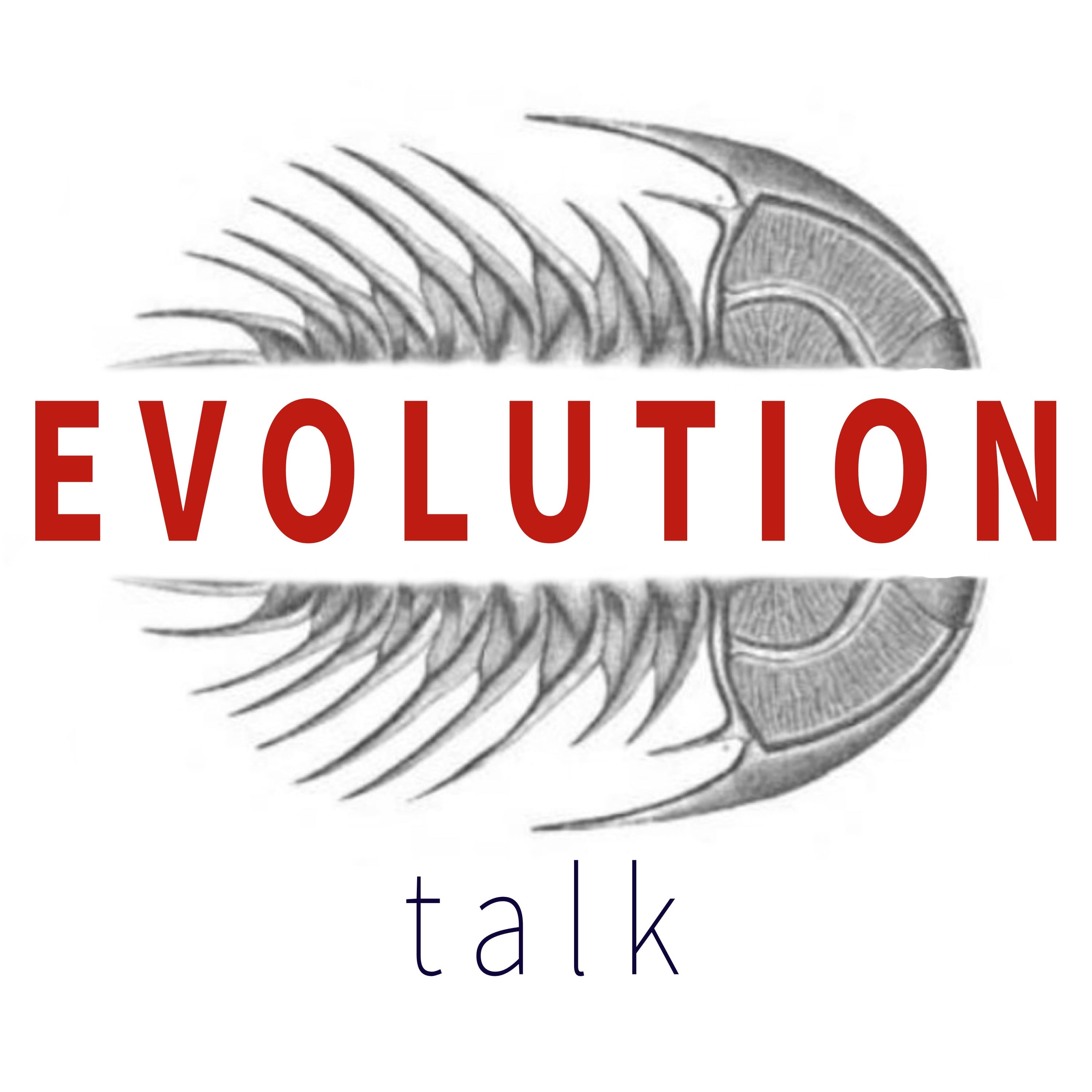 Evolution Talk cover