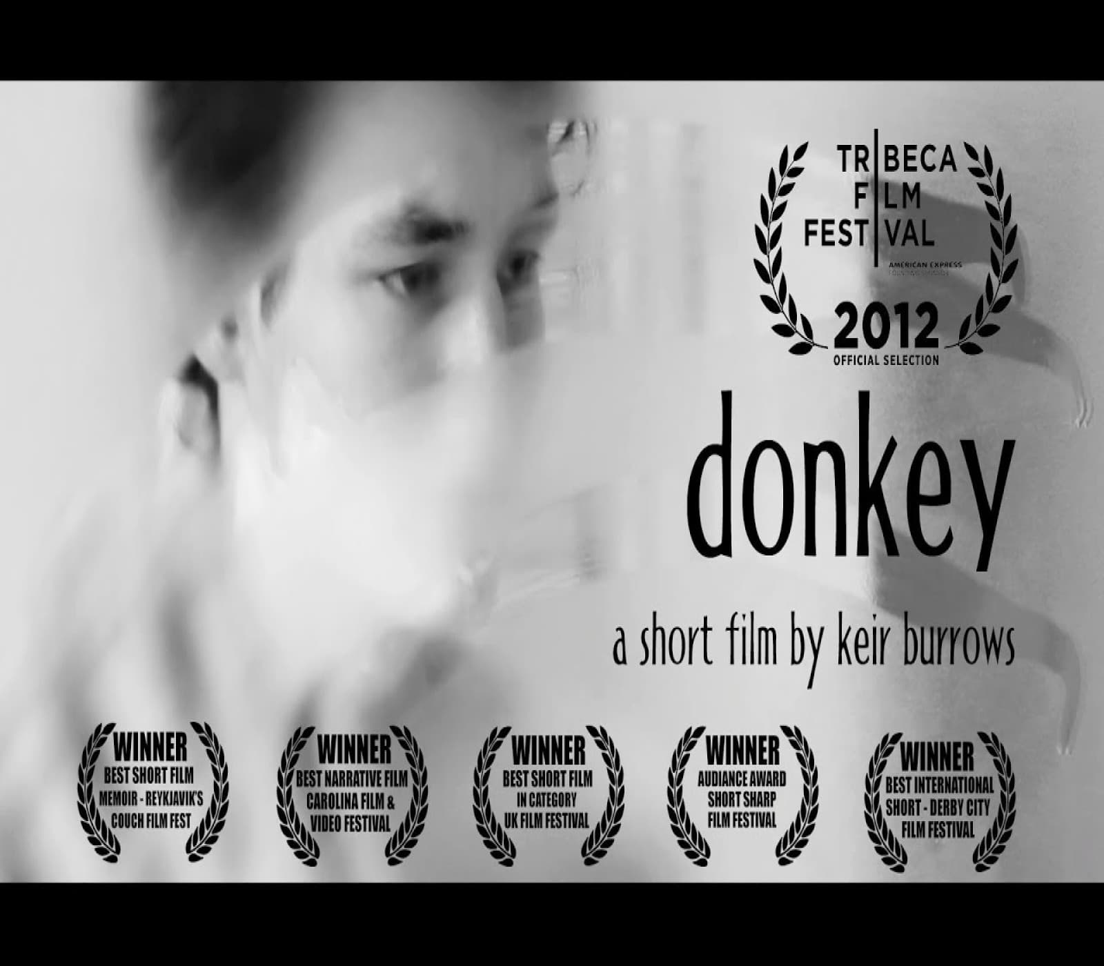 (VIDEO) ENTERTAINING SHORT FILMS: DONKEY (DRAMA) - REAL PARANORMAL ACTIVITY - THE PODCAST/NETWORK cover