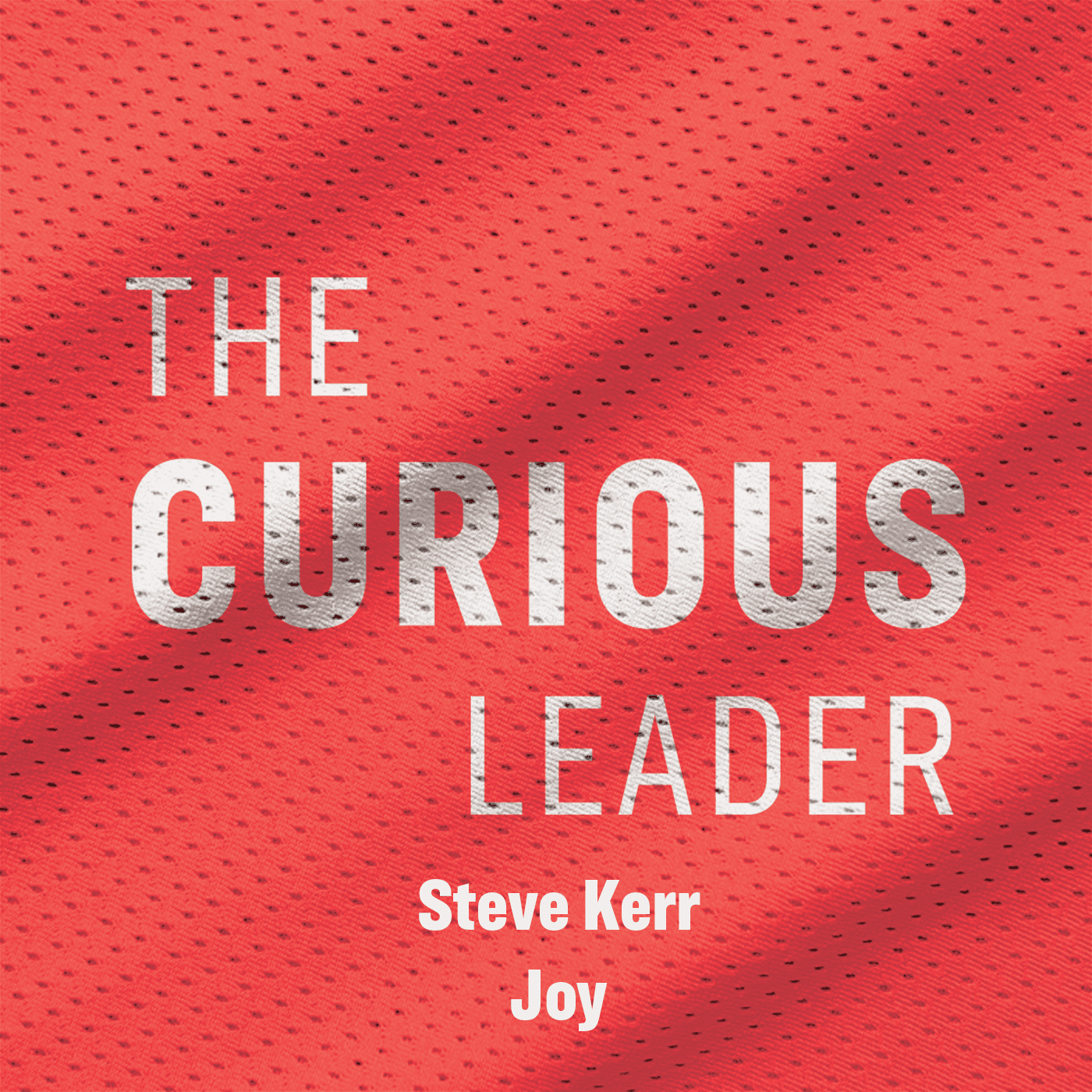 Steve Kerr - Joy - The Curious Leader with Coby Karl cover