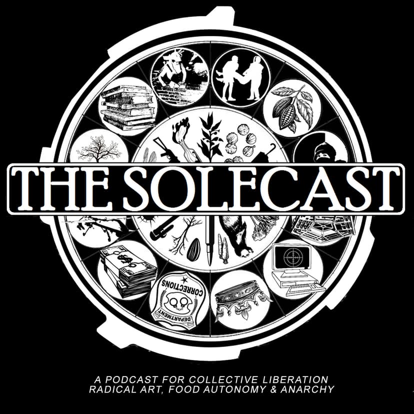 The Solecast cover