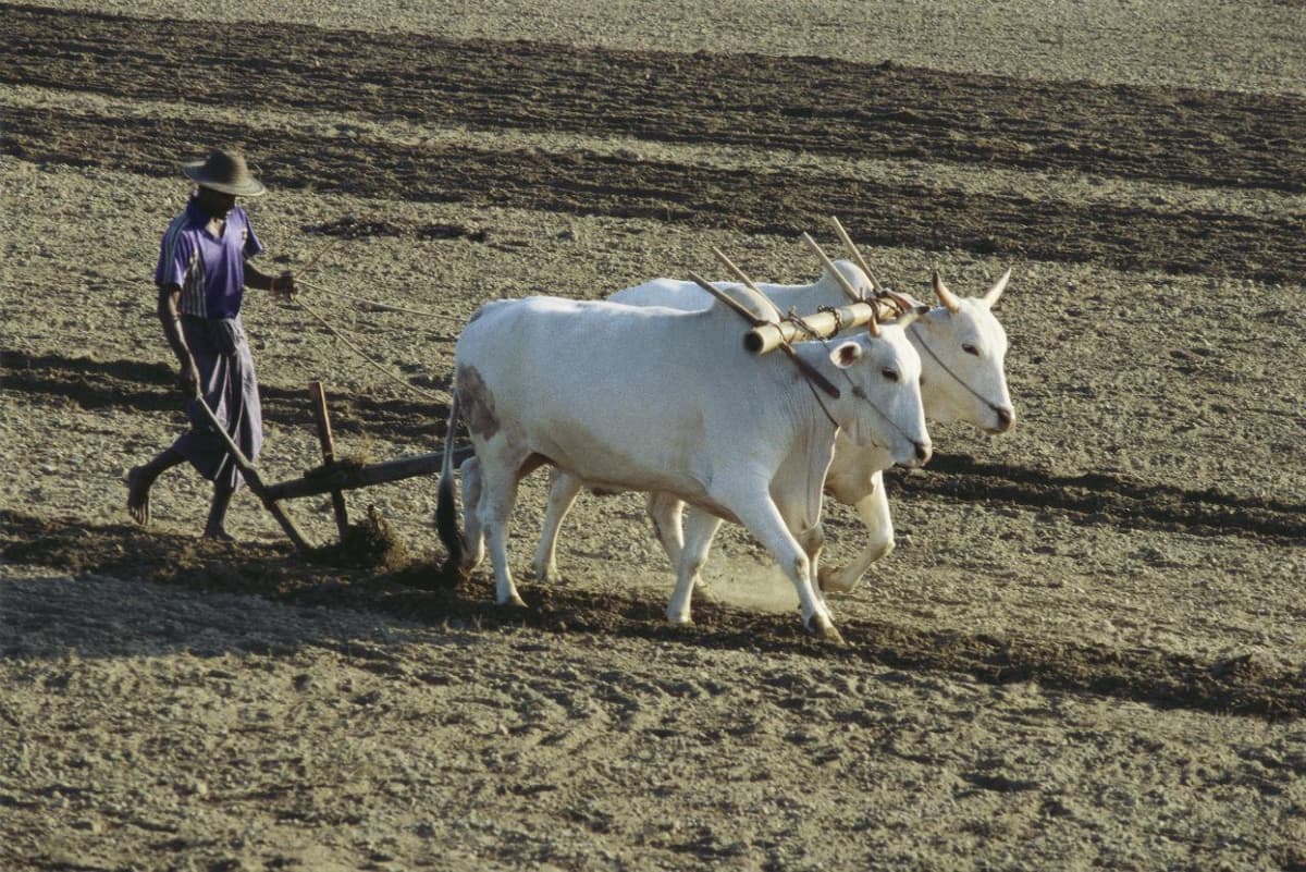 #136 - TO PLOUGH ON/AHEAD/THROUGH/INTO - A Phrasal Verb a Day - Learn English Phrasal Verbs with Luke Thompson cover