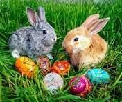 WHY DO BUNNIES LAY EGGS AT EASTER? - 1001 Heroes, Legends, Histories & Mysteries Podcast cover