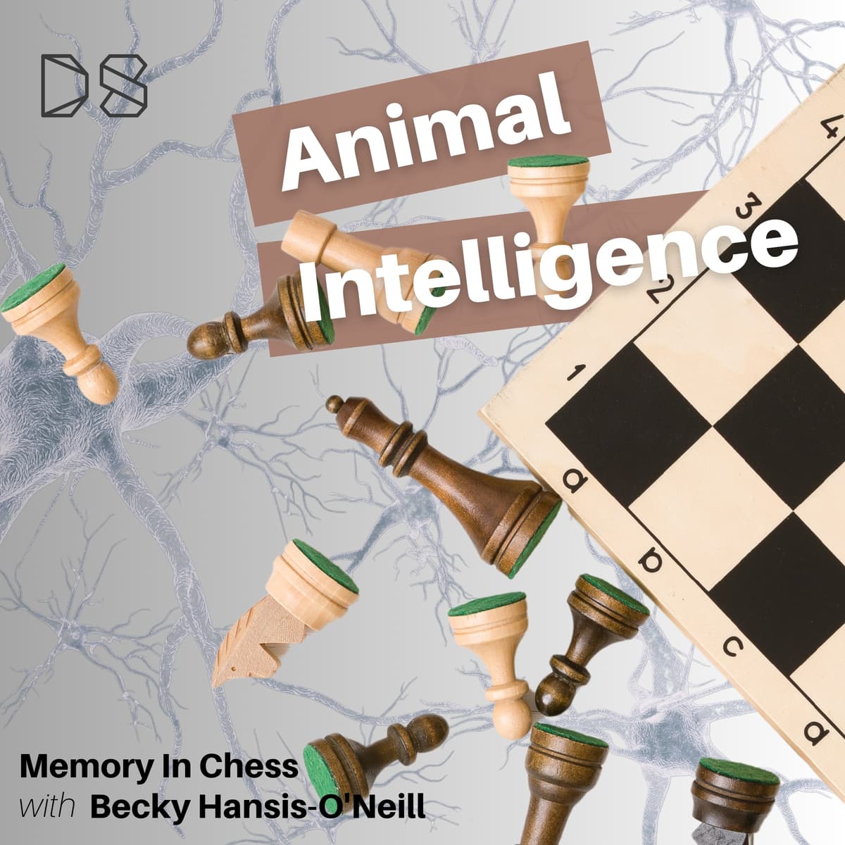 Memory in Chess - Data Skeptic cover