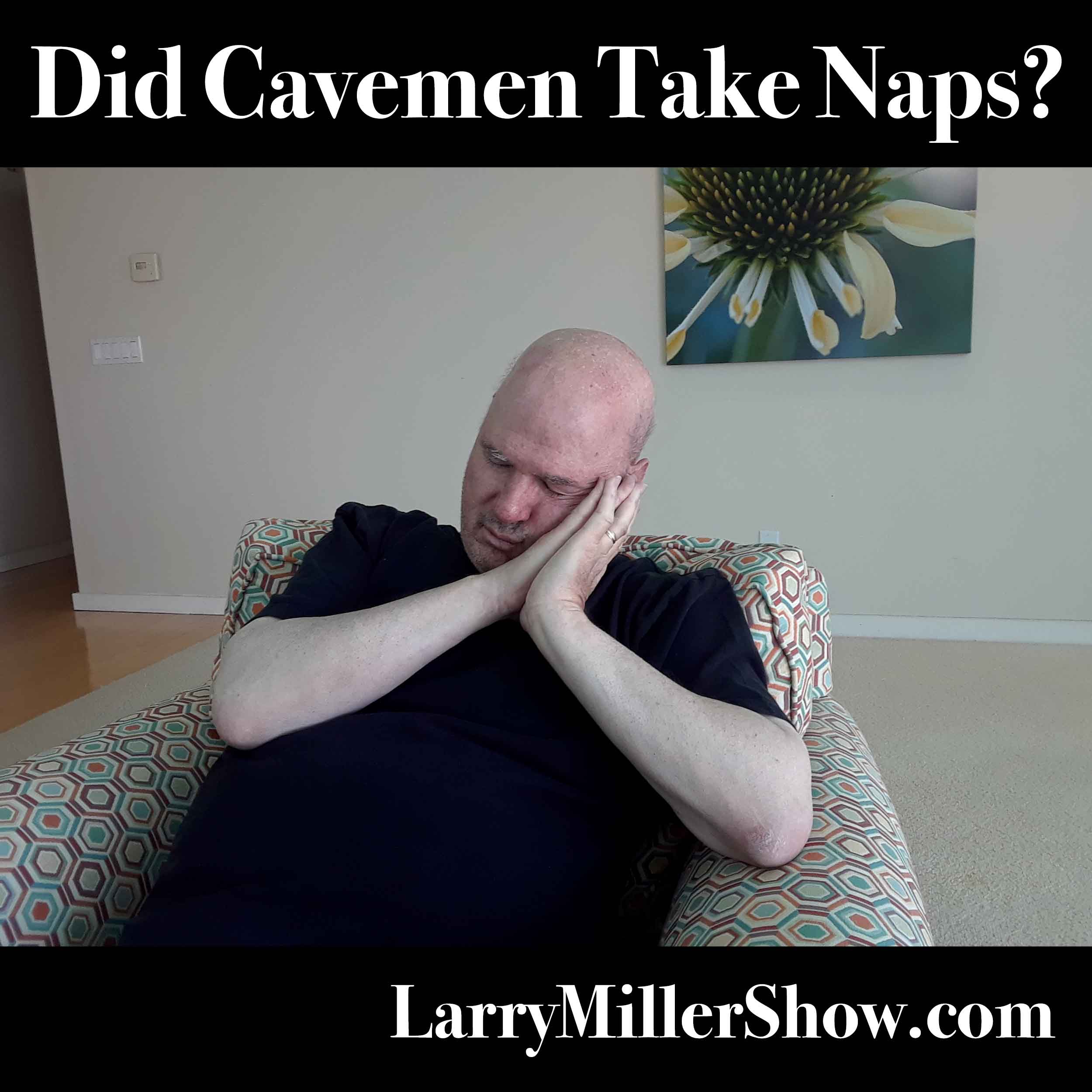 Did Cavemen Take Naps? (Rebroadcast) - Larry Miller Show cover