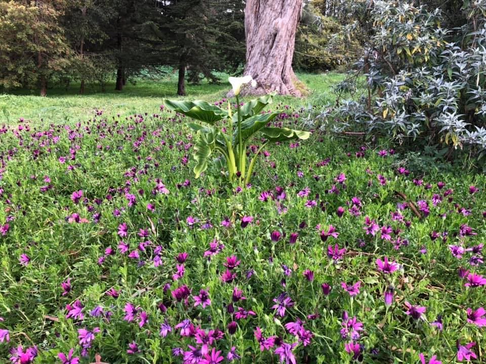 Running Stupid CVXXXII (Shelter In Place) - Running Stupid cover