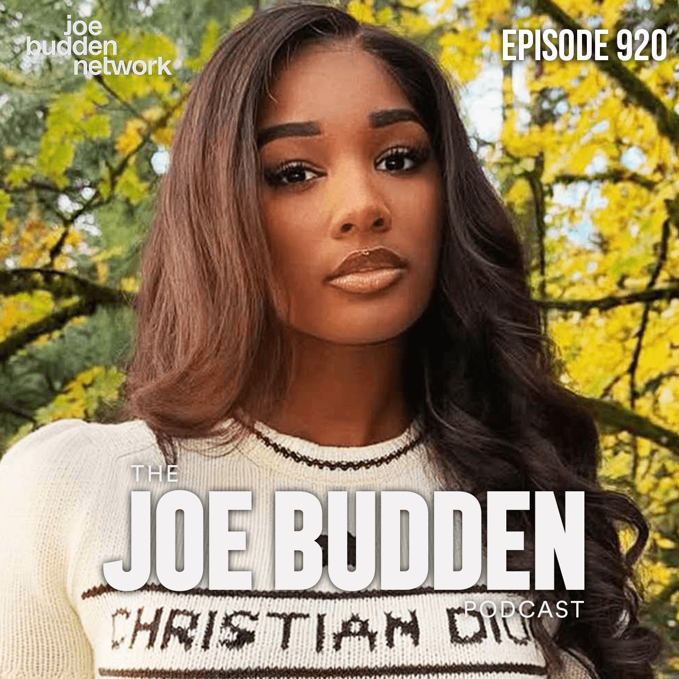 Episode 920 | "Around From A Distance" - The Joe Budden Podcast cover