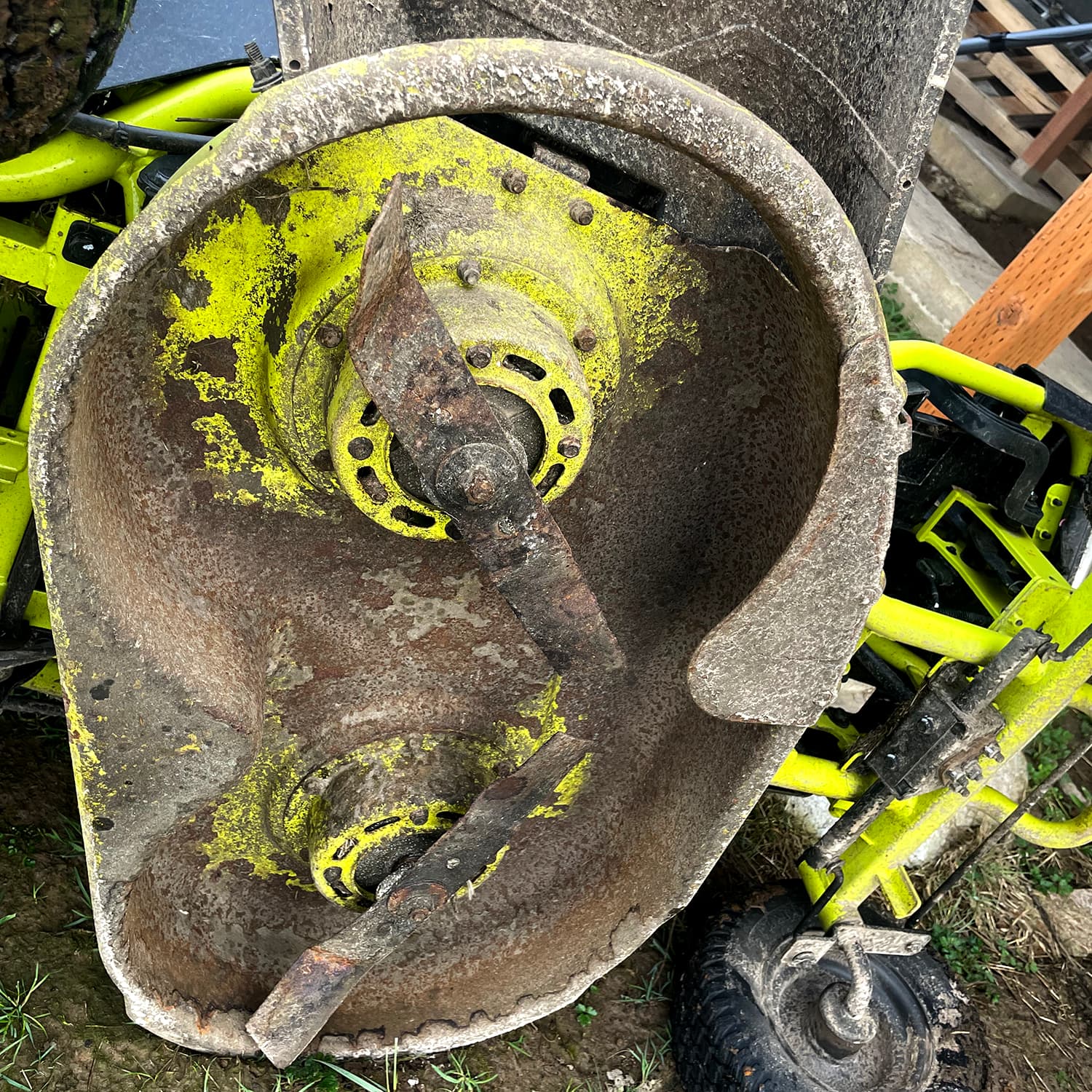 #4413 Delayed Dadification - TBTL: Too Beautiful To Live cover