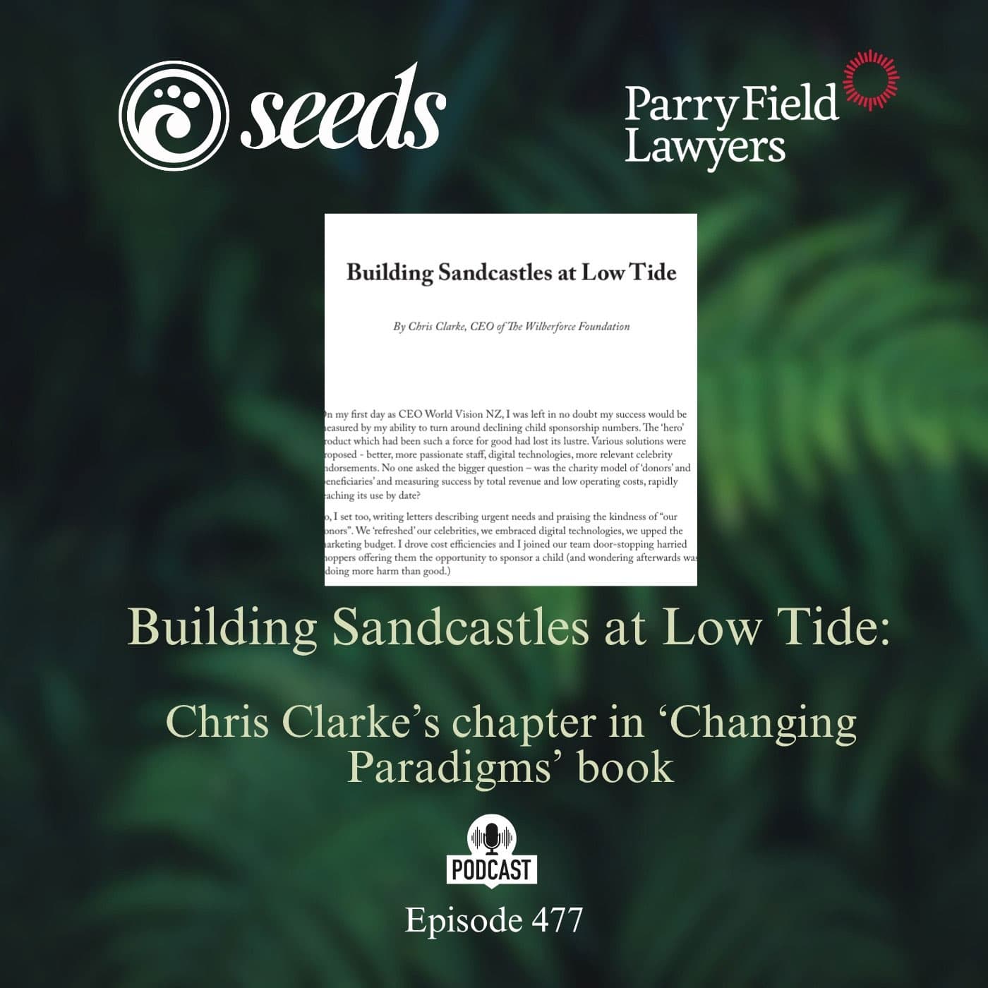 Building Sandcastles at Low Tide: Chris Clarke's chapter in 'Changing Paradigms' book - Seeds cover