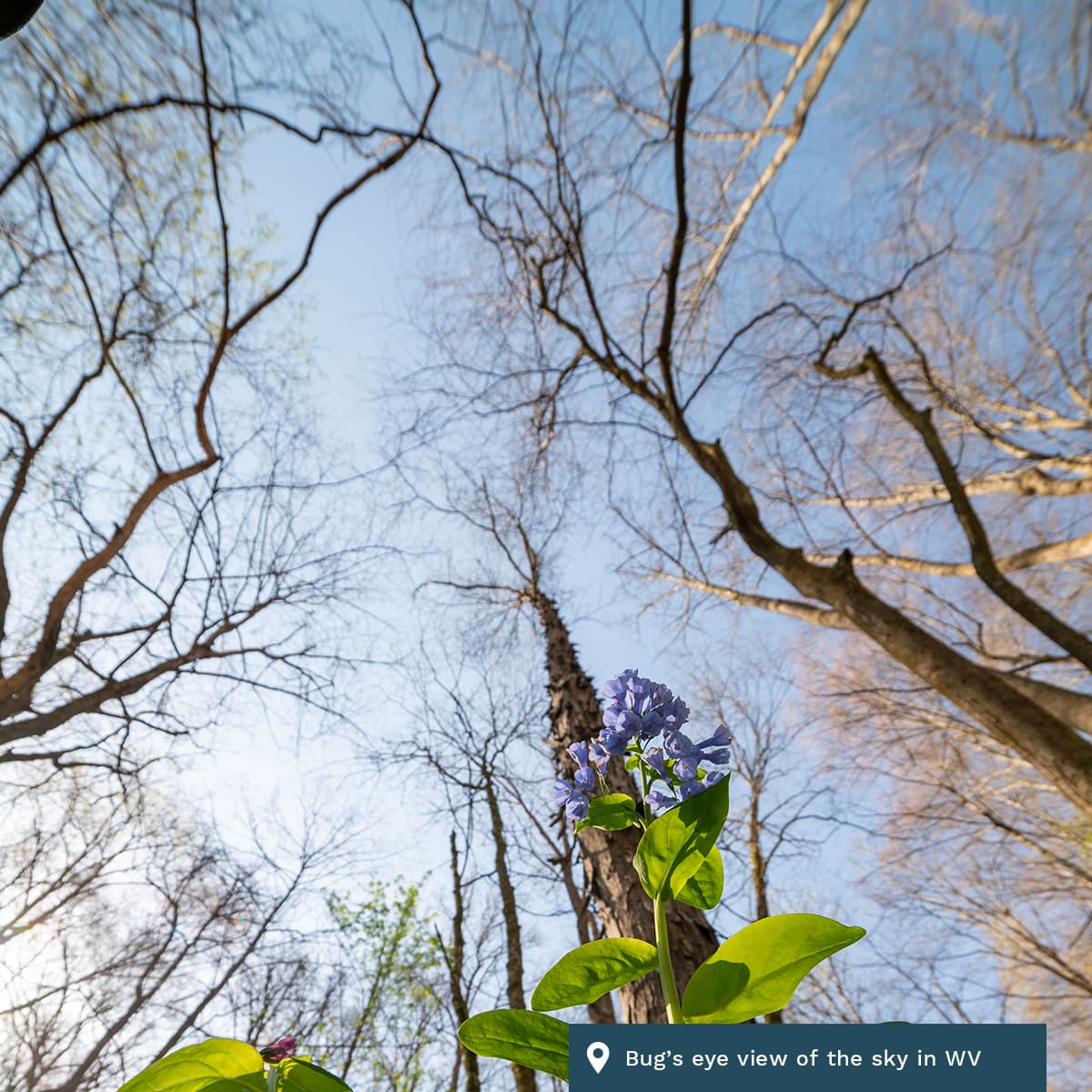 daily304 – Episode 04.21.2026 - daily304's podcast cover