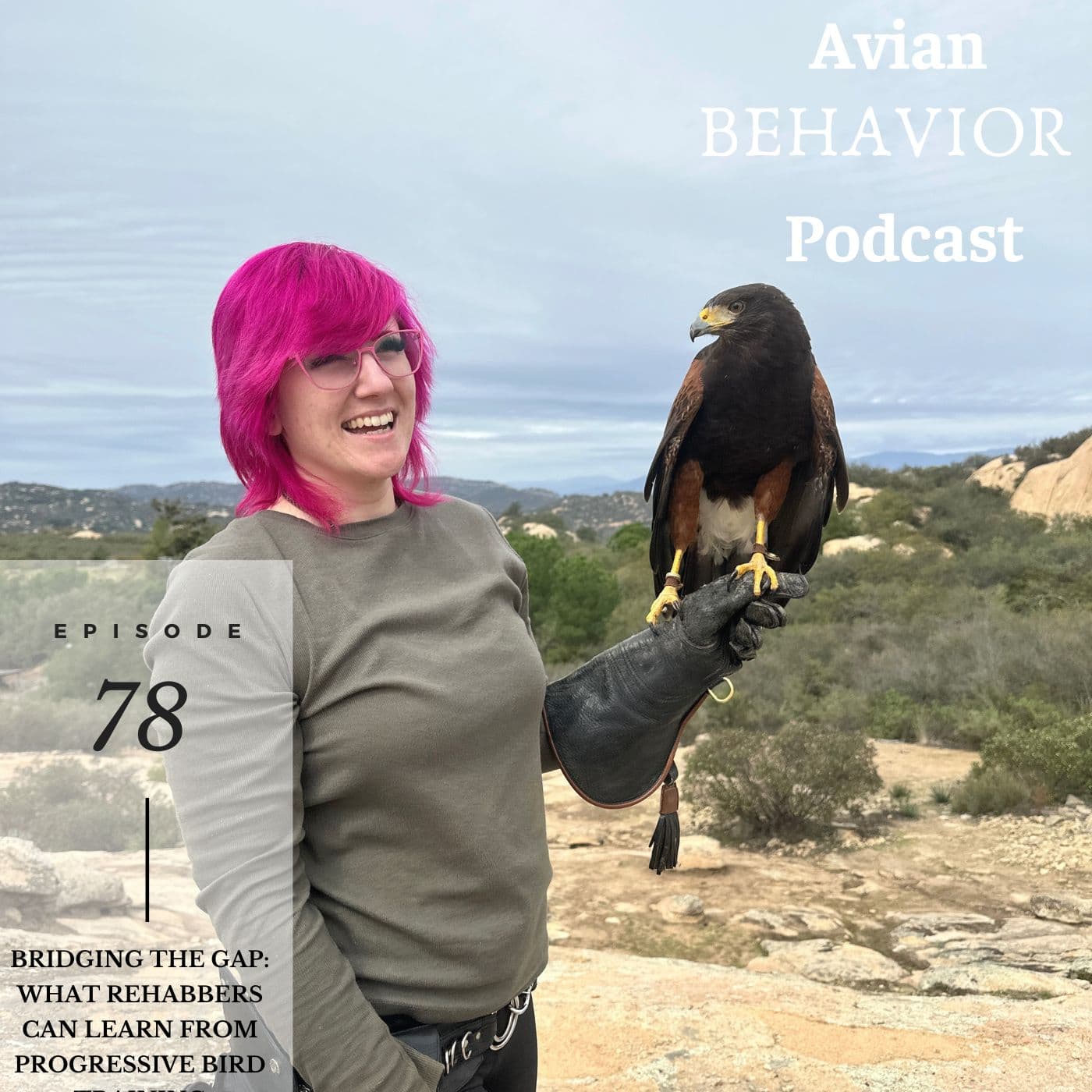 78 Bridging the Gap: What Rehabbers Can Learn from Progressive Bird Training - The Avian Behavior Podcast cover