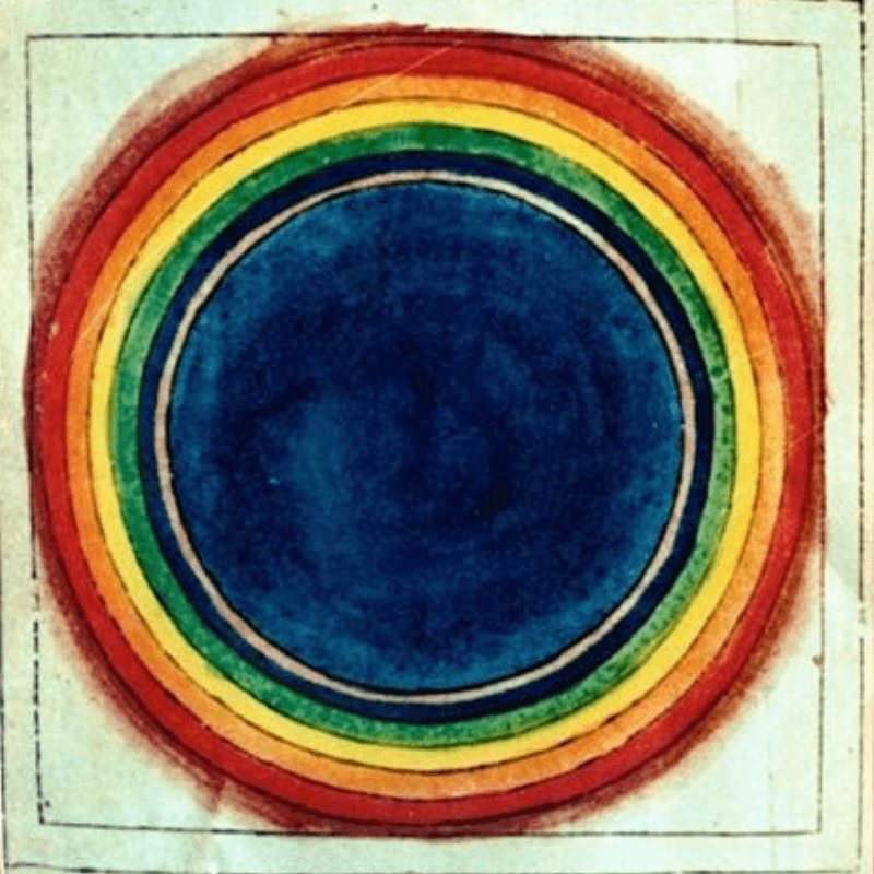 Remembering our Animal Senses and Sensuous Relationship With the Living World - Embodiment Matters Podcast cover