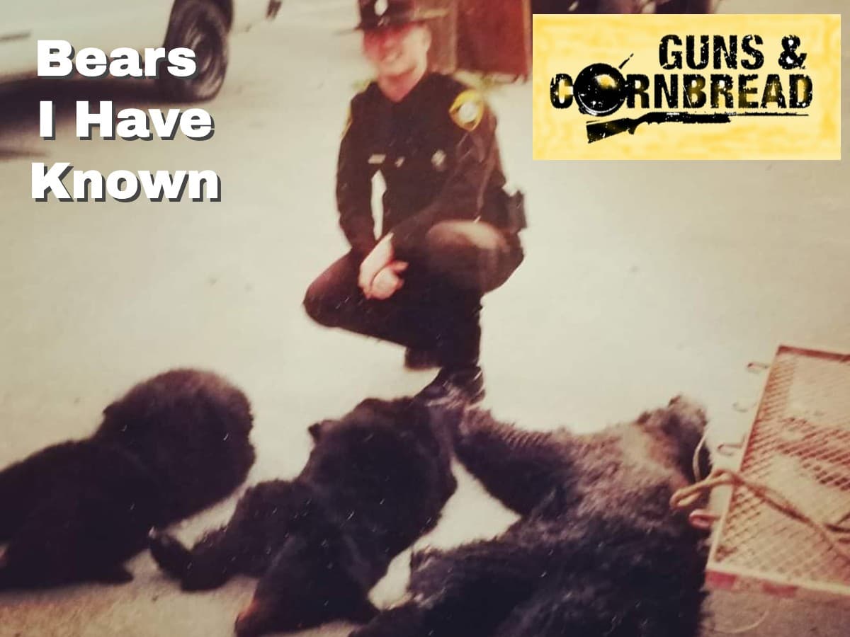 Bears I Have Known | Episode 18 - Guns & Cornbread cover