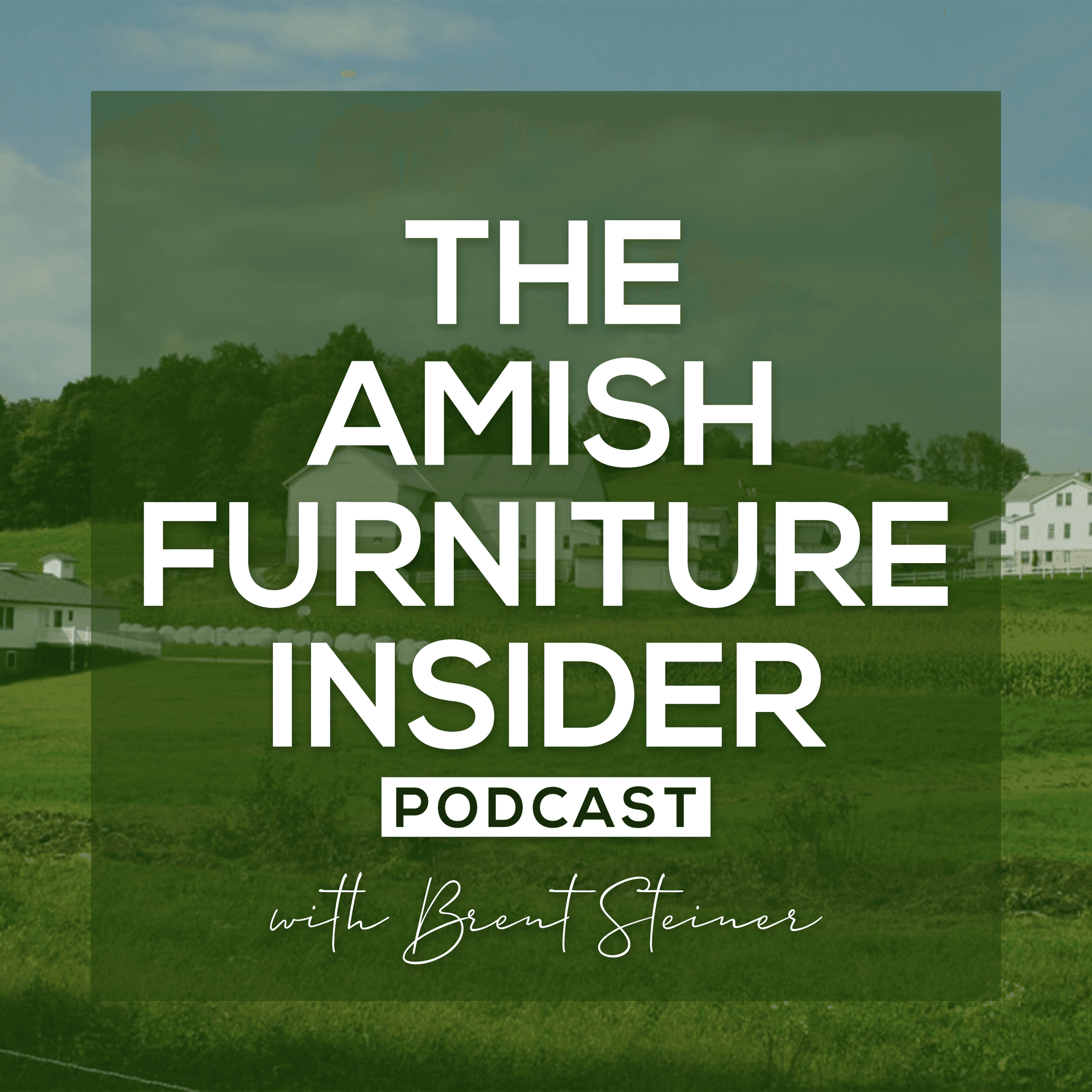 The Amish Furniture Insider cover