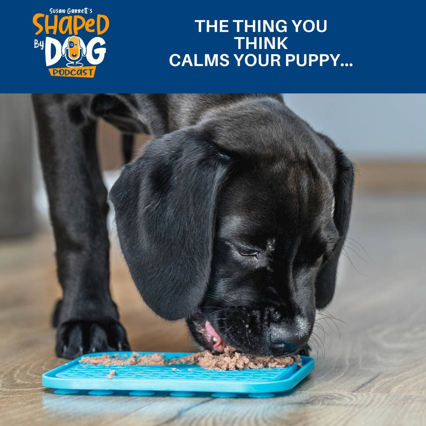 The Thing You THINK Calms Your Puppy... #320 - Shaped by Dog with Susan Garrett cover