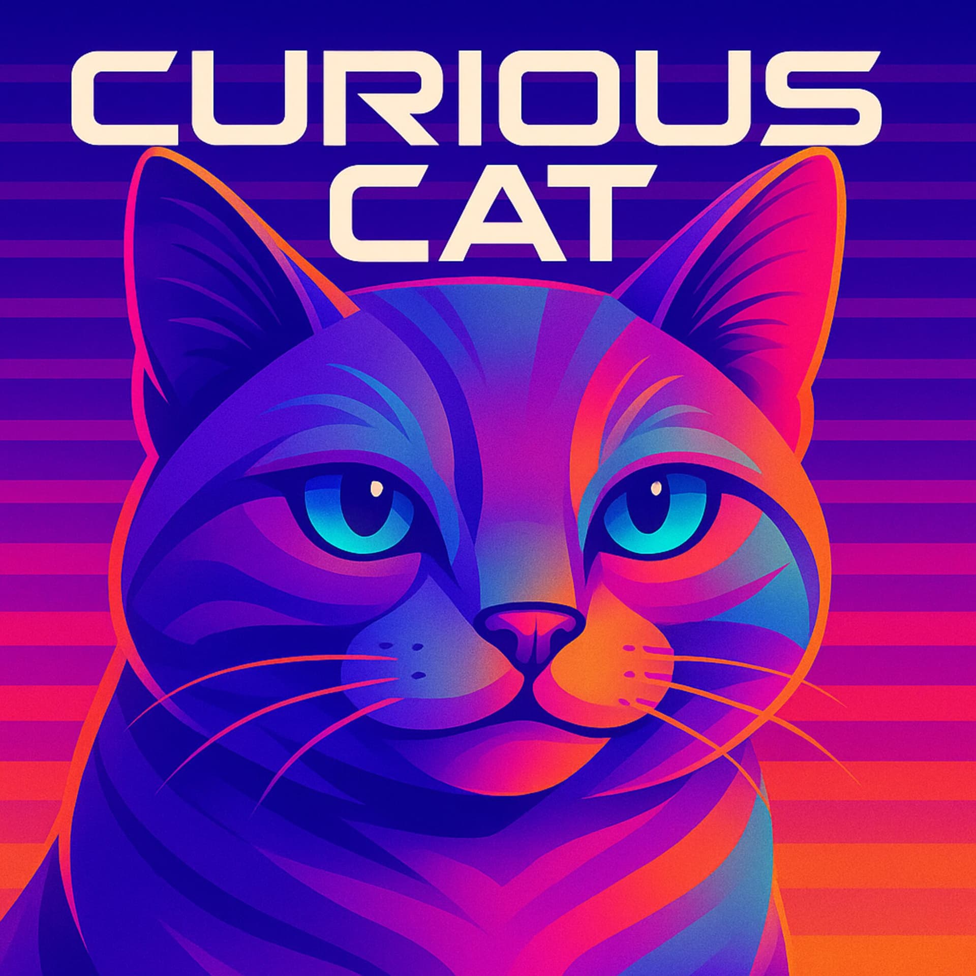 Curious Cat cover