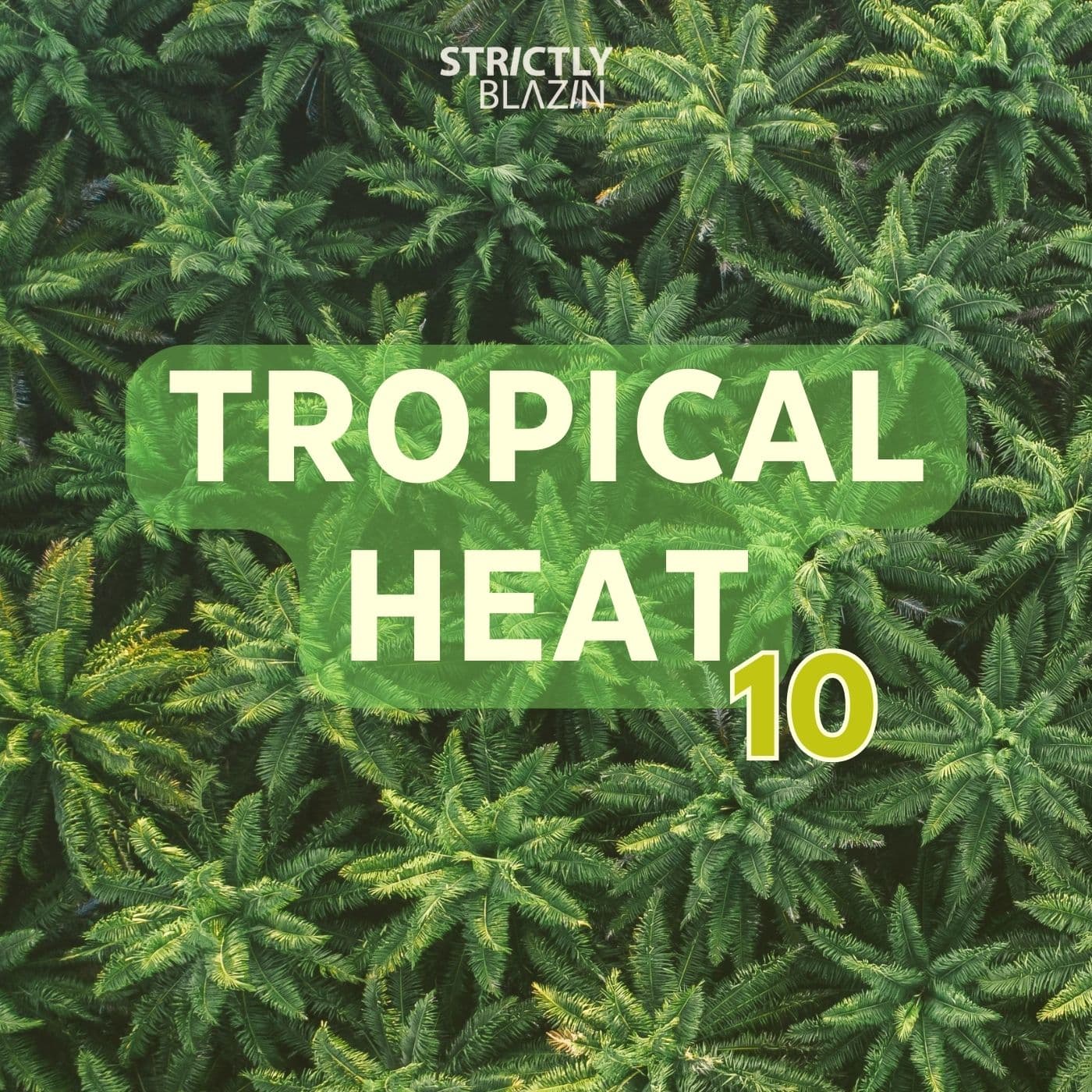 Tropical Heat 10 - Tropical Heat cover