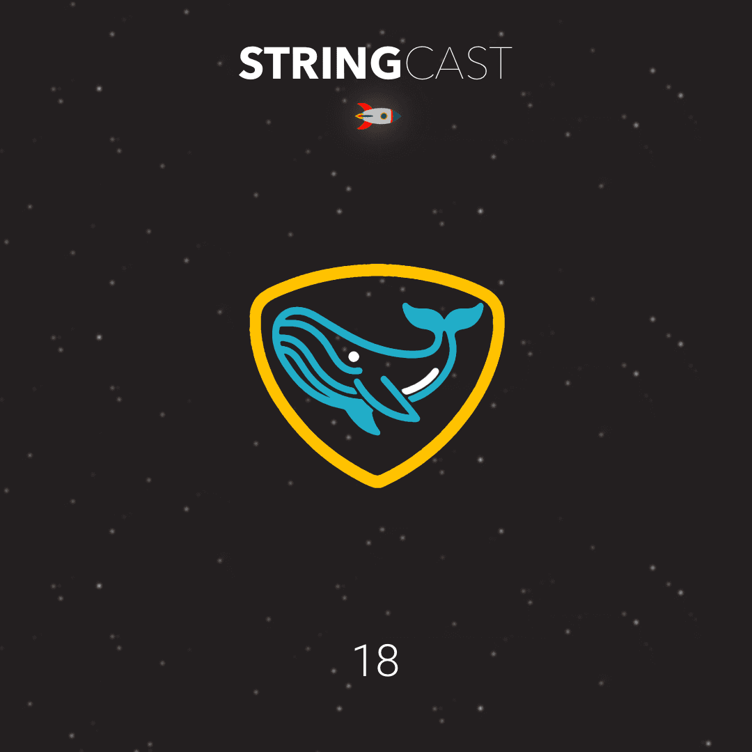 شوالیه دریایی - StringCast | استرینگ‌کست cover