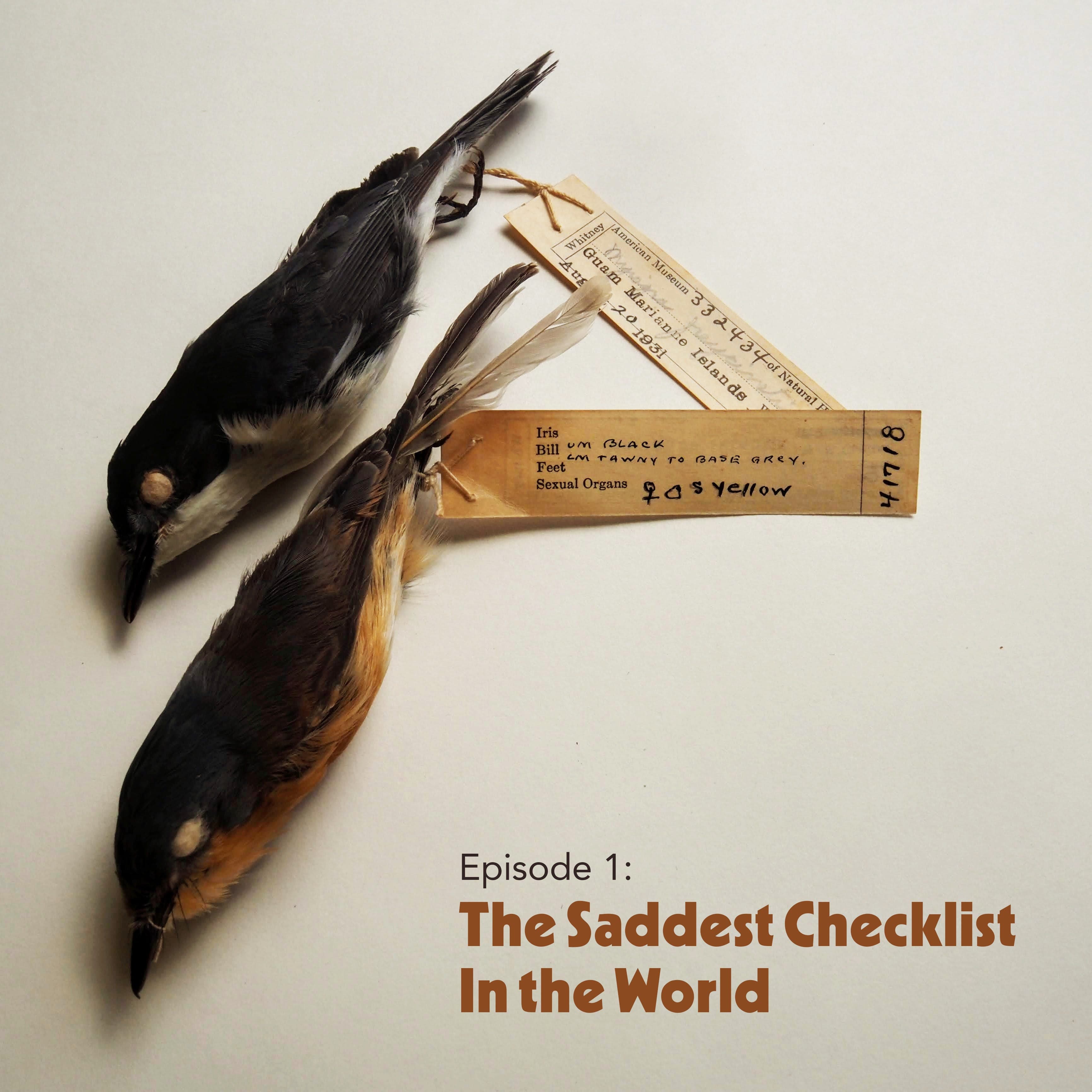 Episode 1: The Saddest Checklist In The World - Once Upon a Checklist cover