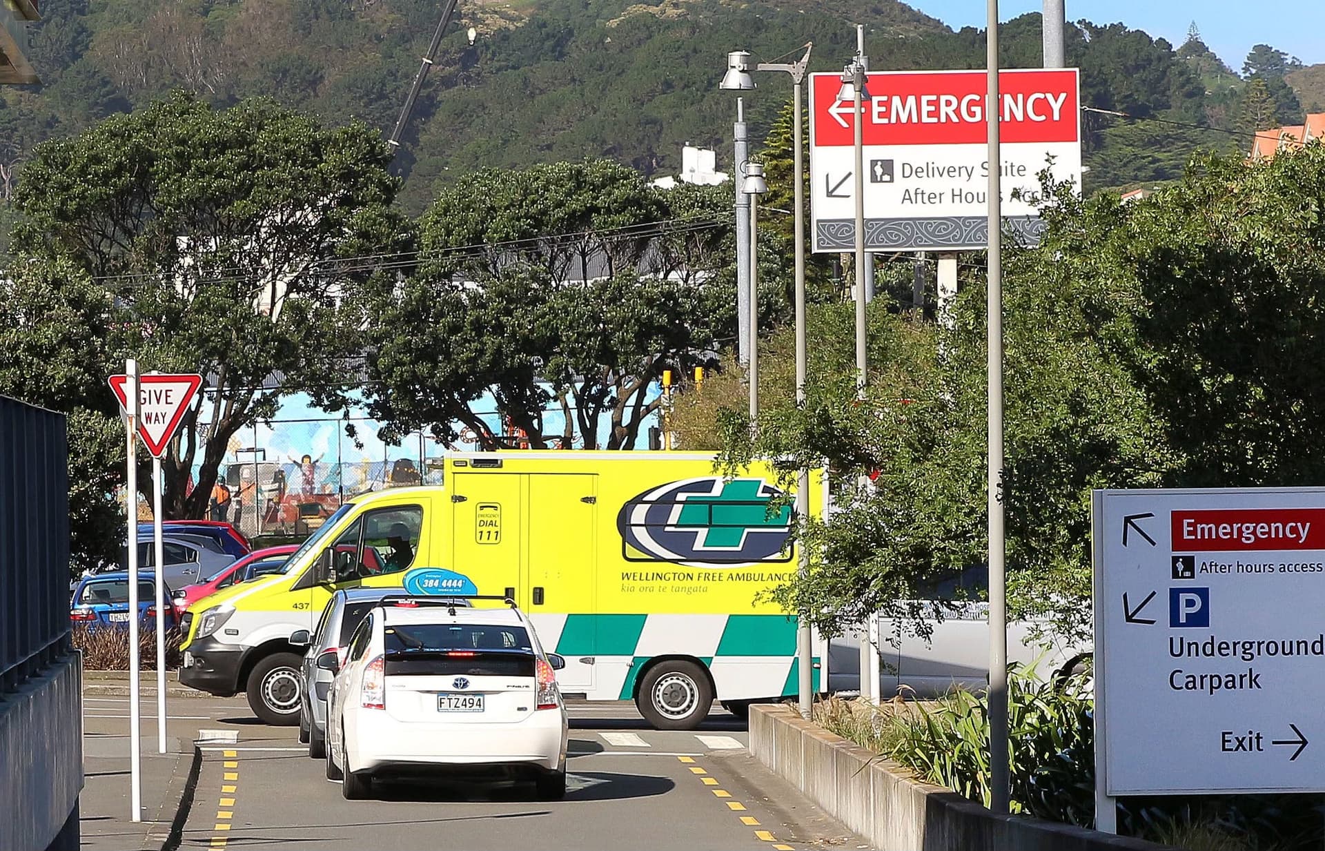 The ambulances at the bottom of our cliffs are full — The Kākā by Bernard Hickey cover