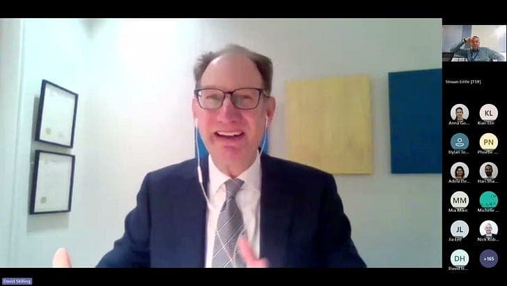 A Mini-Hoon with David Skilling on productivity - The Kākā by Bernard Hickey cover