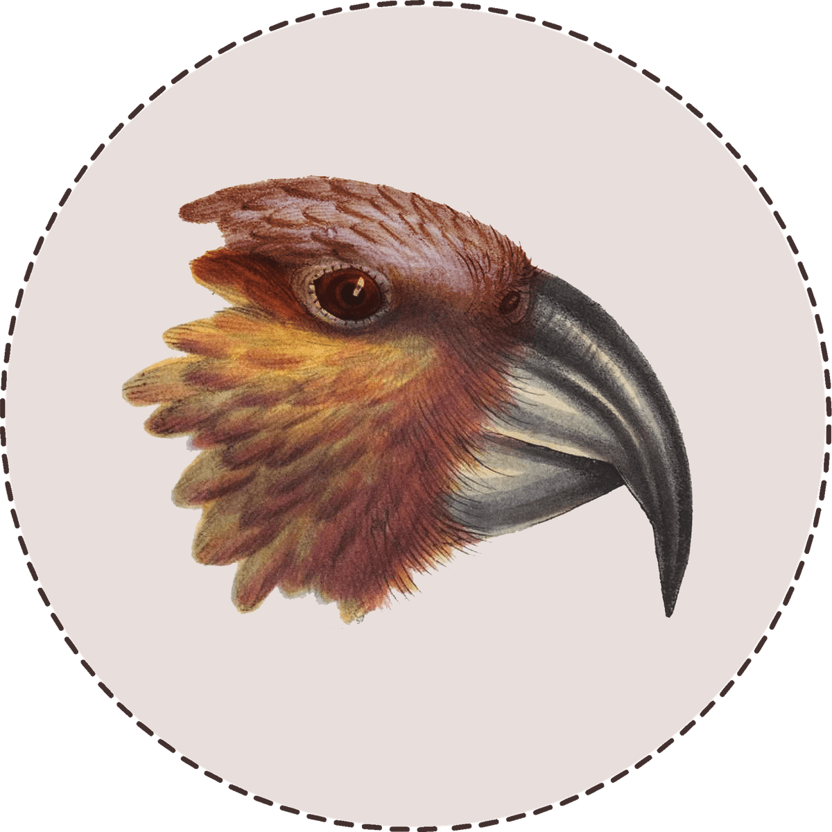 A Mini-Hoon with Ben Reid on Citrini's report about AI that unnerved global stocks - The Kākā by Bernard Hickey cover