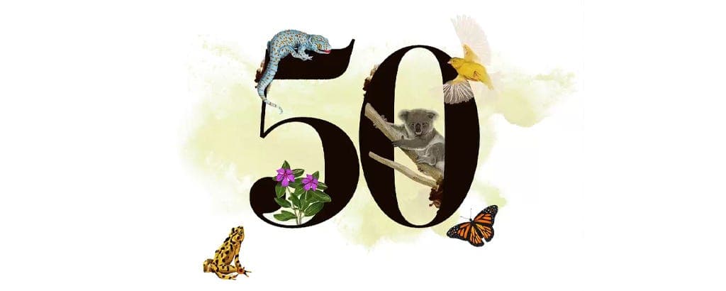 Impeachment Now!/Fifty Species That Save Us - Ralph Nader Radio Hour cover