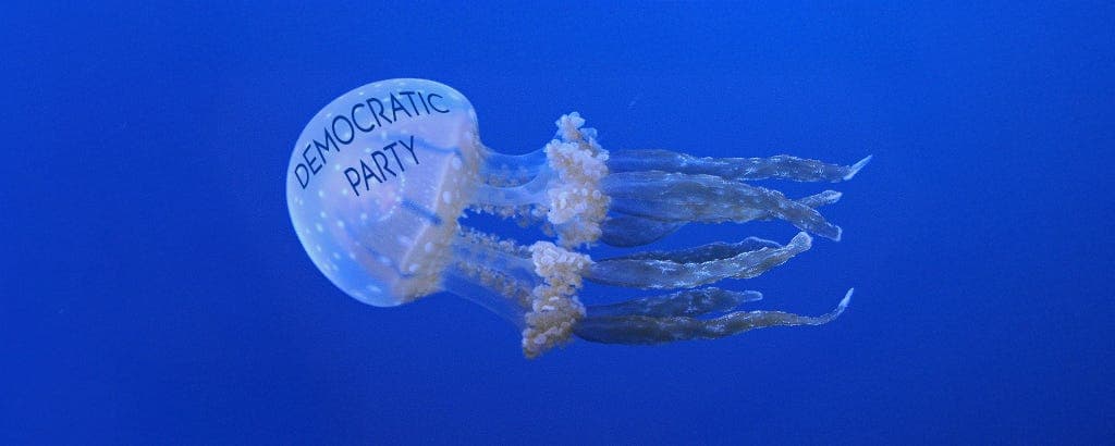 Spineless Democrats - Ralph Nader Radio Hour cover