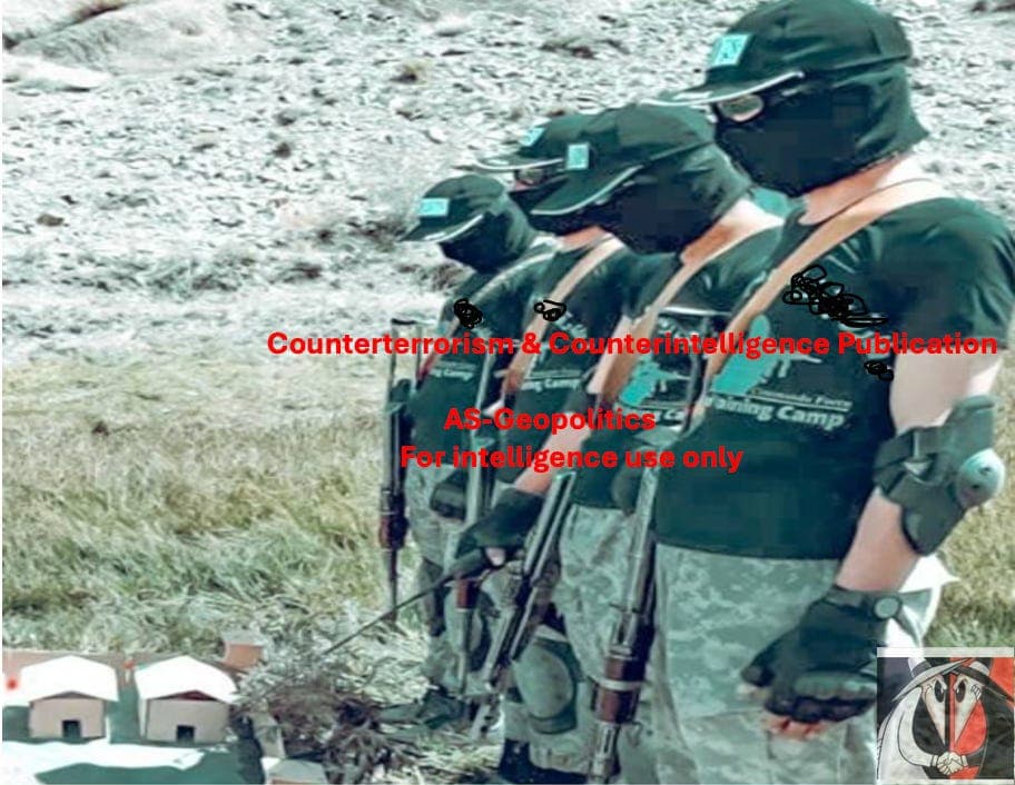 Taliban’s Military Infrastructure for Transnational Extremism - Ajmal Sohail Counterterrorism & Counterintelligence  cover
