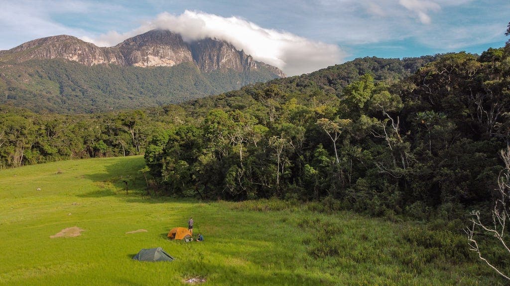 Grounded in 'Conservation,' with Ruben Foquet - Grounded cover