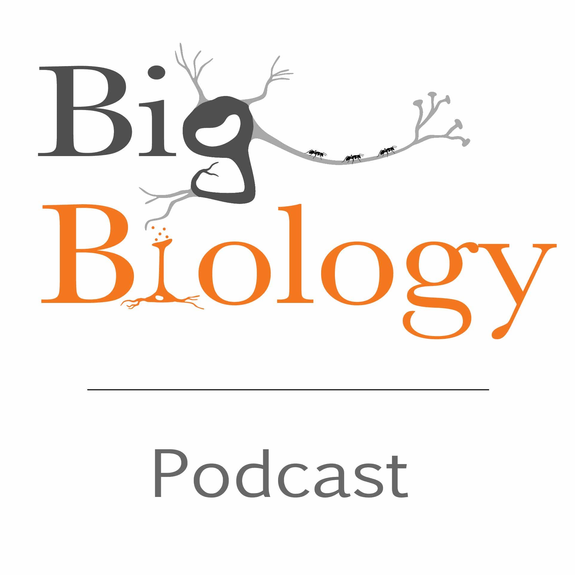 Big Biology cover