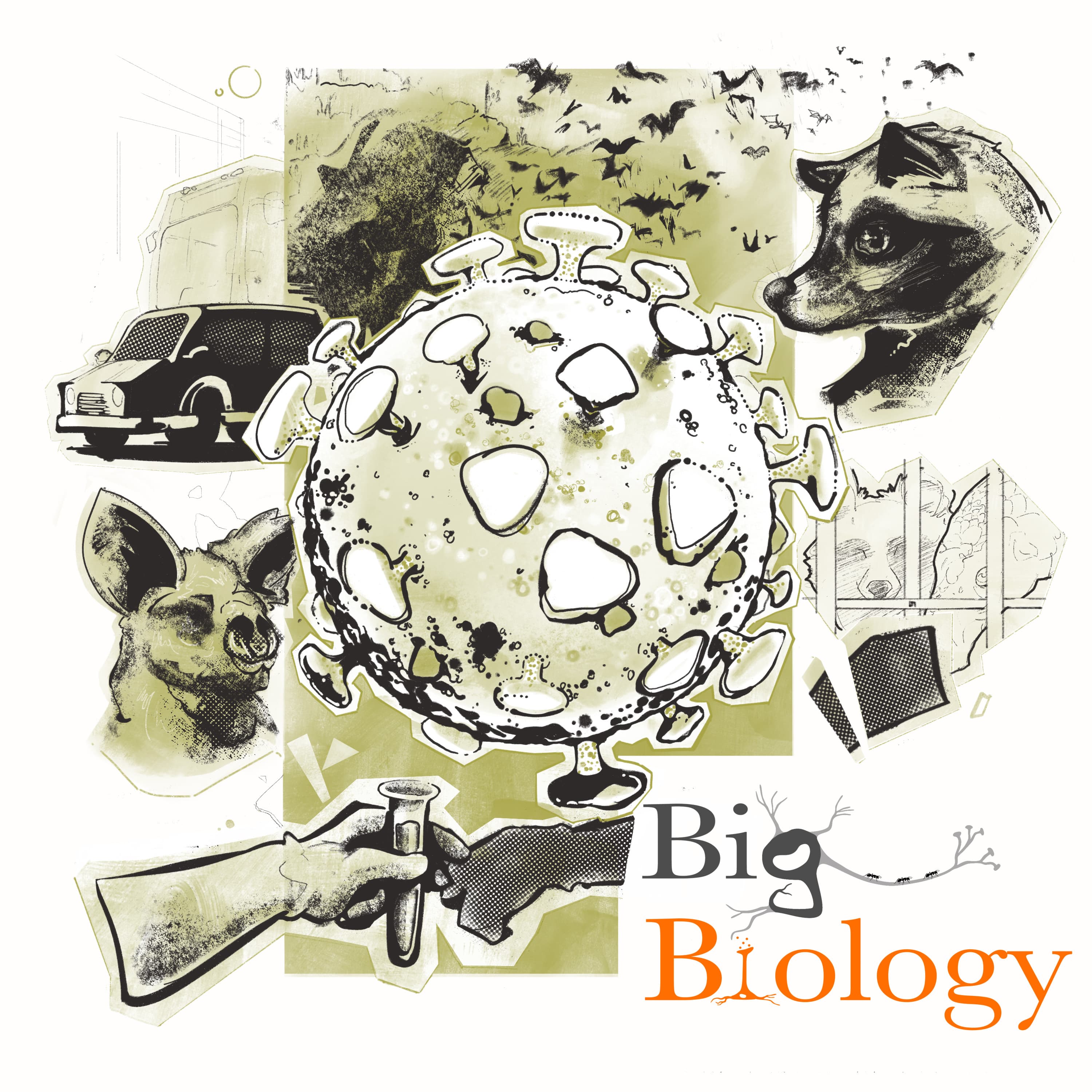 Follow the data: the search for COVID’s origin (Ep 105) - Big Biology cover