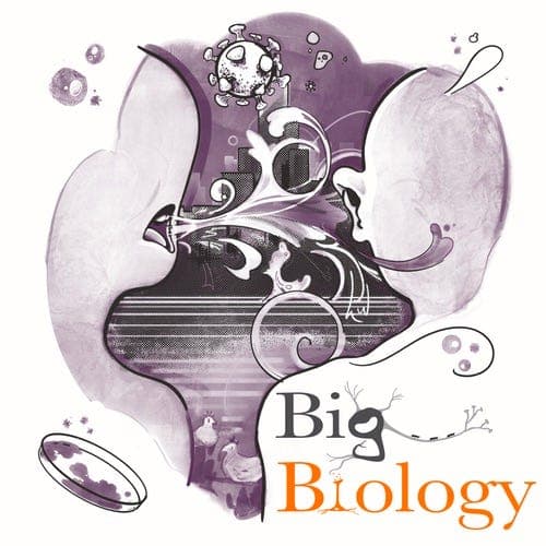 Covid Conversations (Ep 138) - Big Biology cover