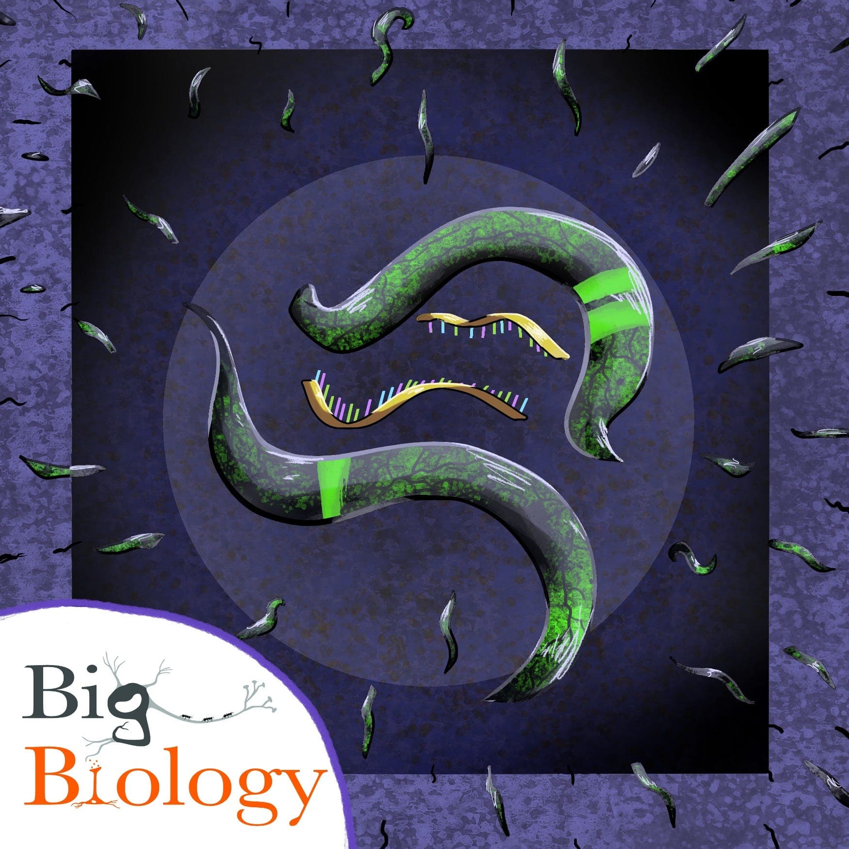 Biology outside the box (Ep 140) - Big Biology cover