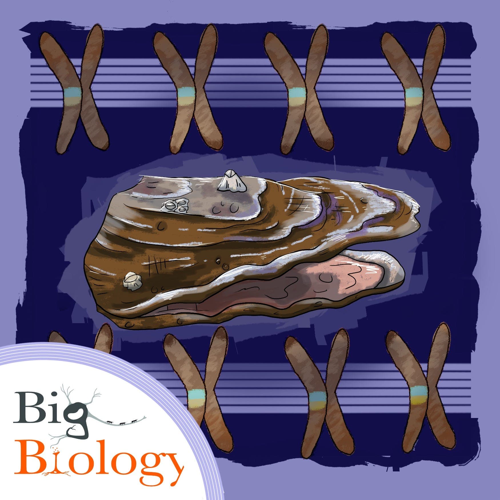 Vulnerability in science and in genomes (Ep 141) - Big Biology cover