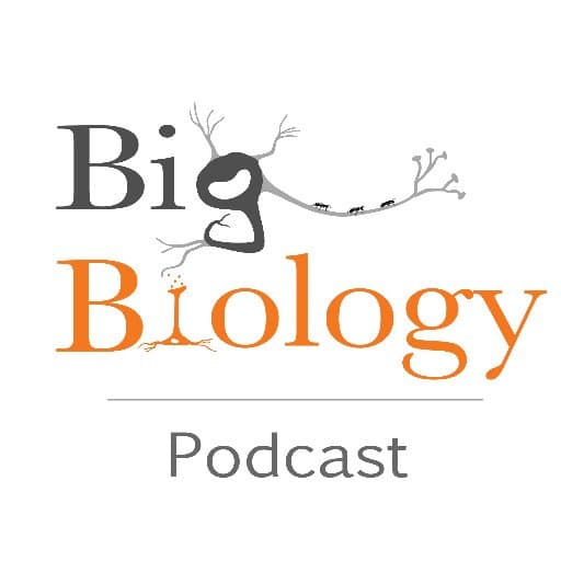 The Vital Question: The Chemistry of Early Life  - Big Biology cover