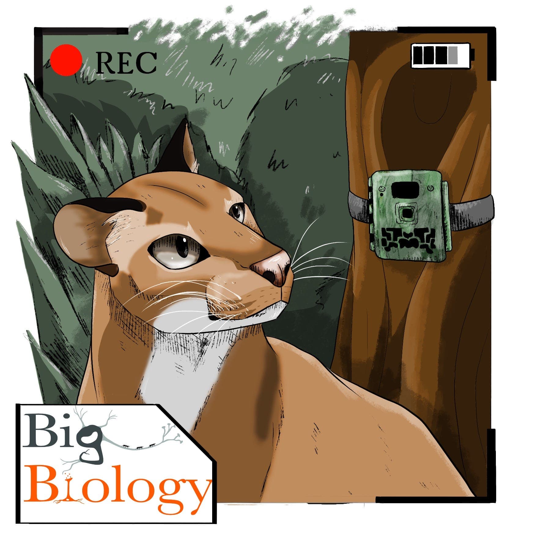 Heart of gold (Ep 144) - Big Biology cover