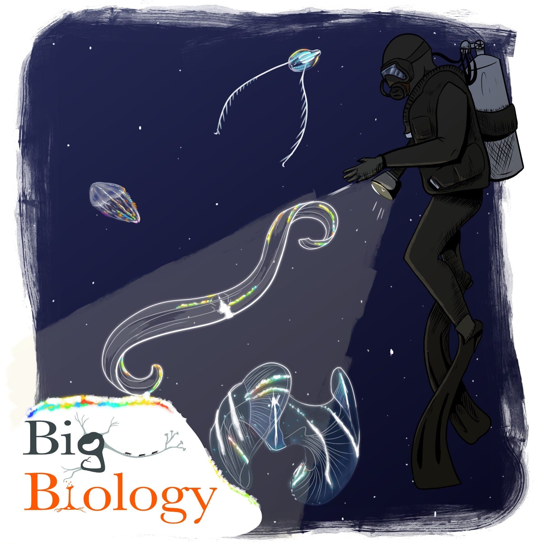 The Voracious Ctenophore and the Silent Sea (Ep 148) - Big Biology cover