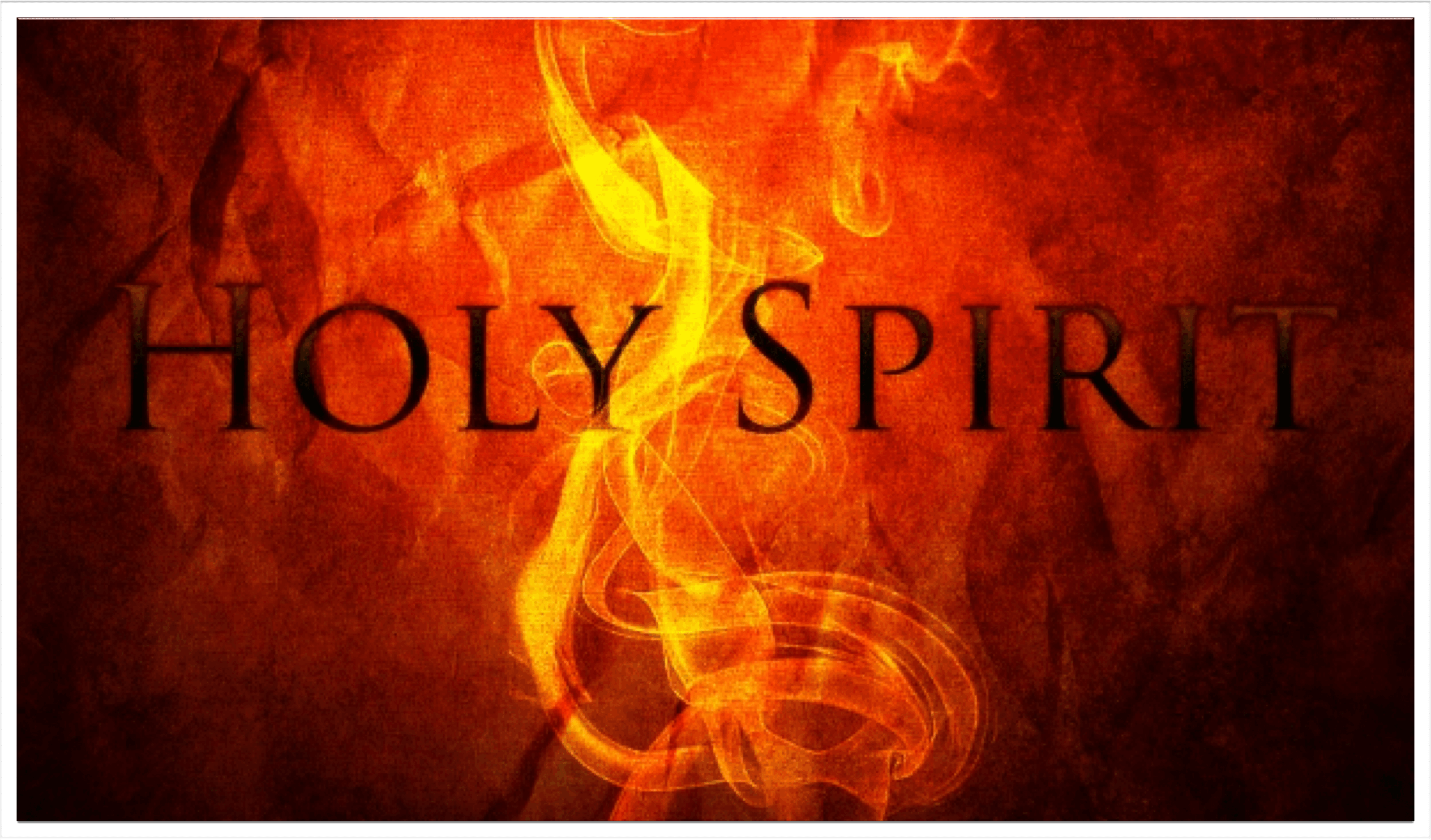 Filling the Master’s House - Being a Follower cover