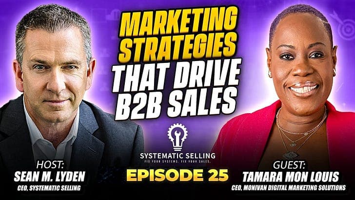 🎙️E25: Three Digital Marketing Strategies To Scale B2B Sales - Systematic Selling Podcast cover