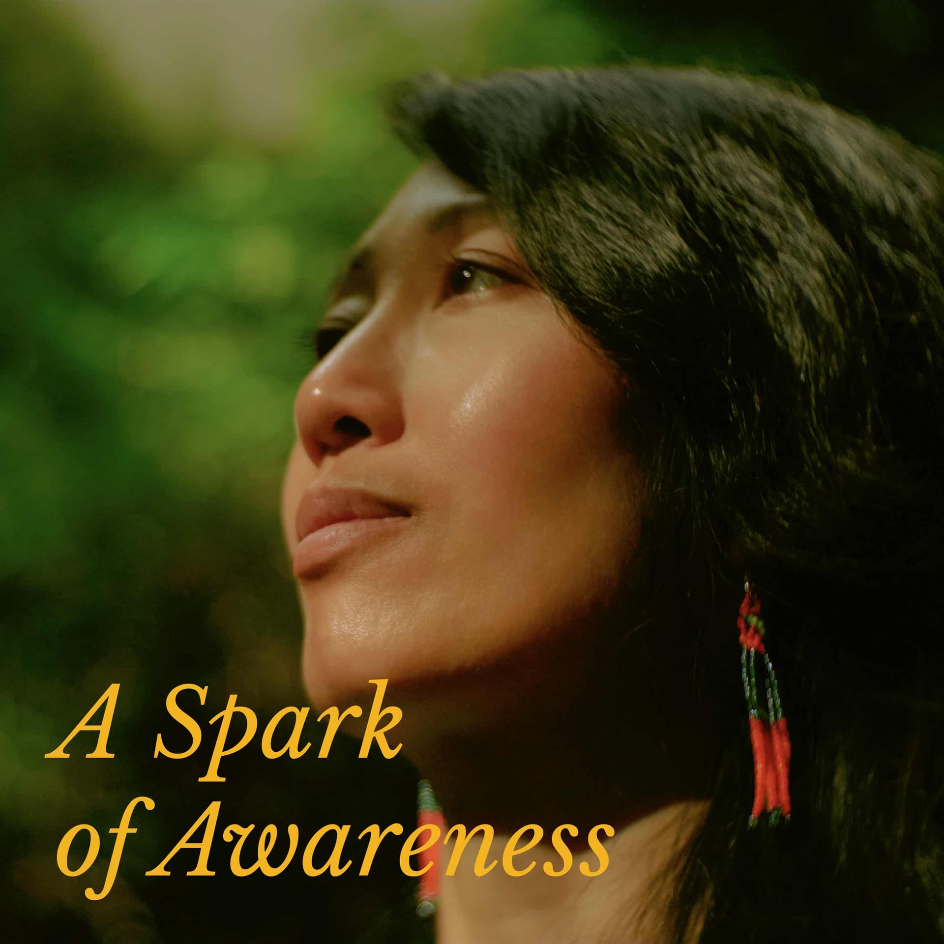 A Spark Of Awareness cover