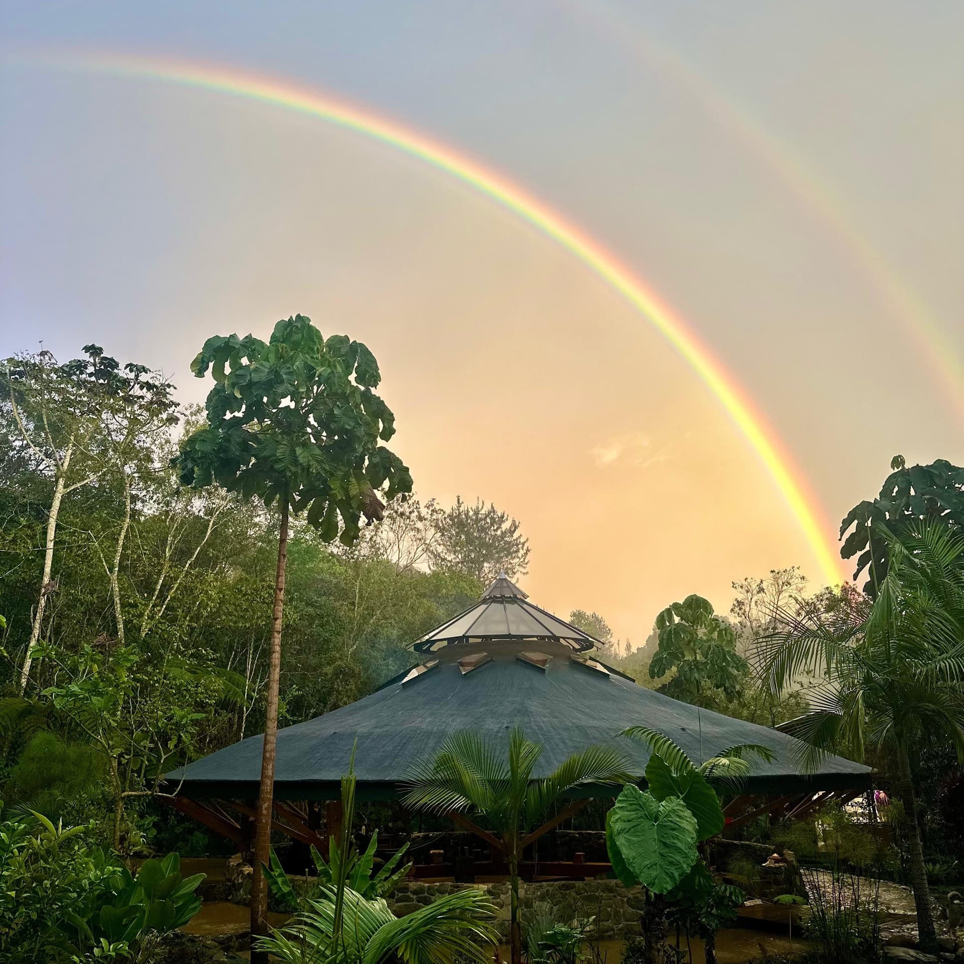 From Building Game Studios To Healing In The Jungle - A Spark Of Awareness cover