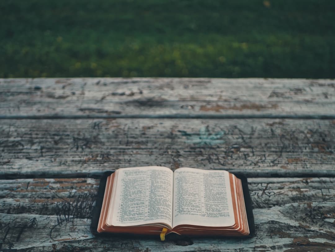 Imagination and Biblical Interpretation  - Faithfully Creative cover