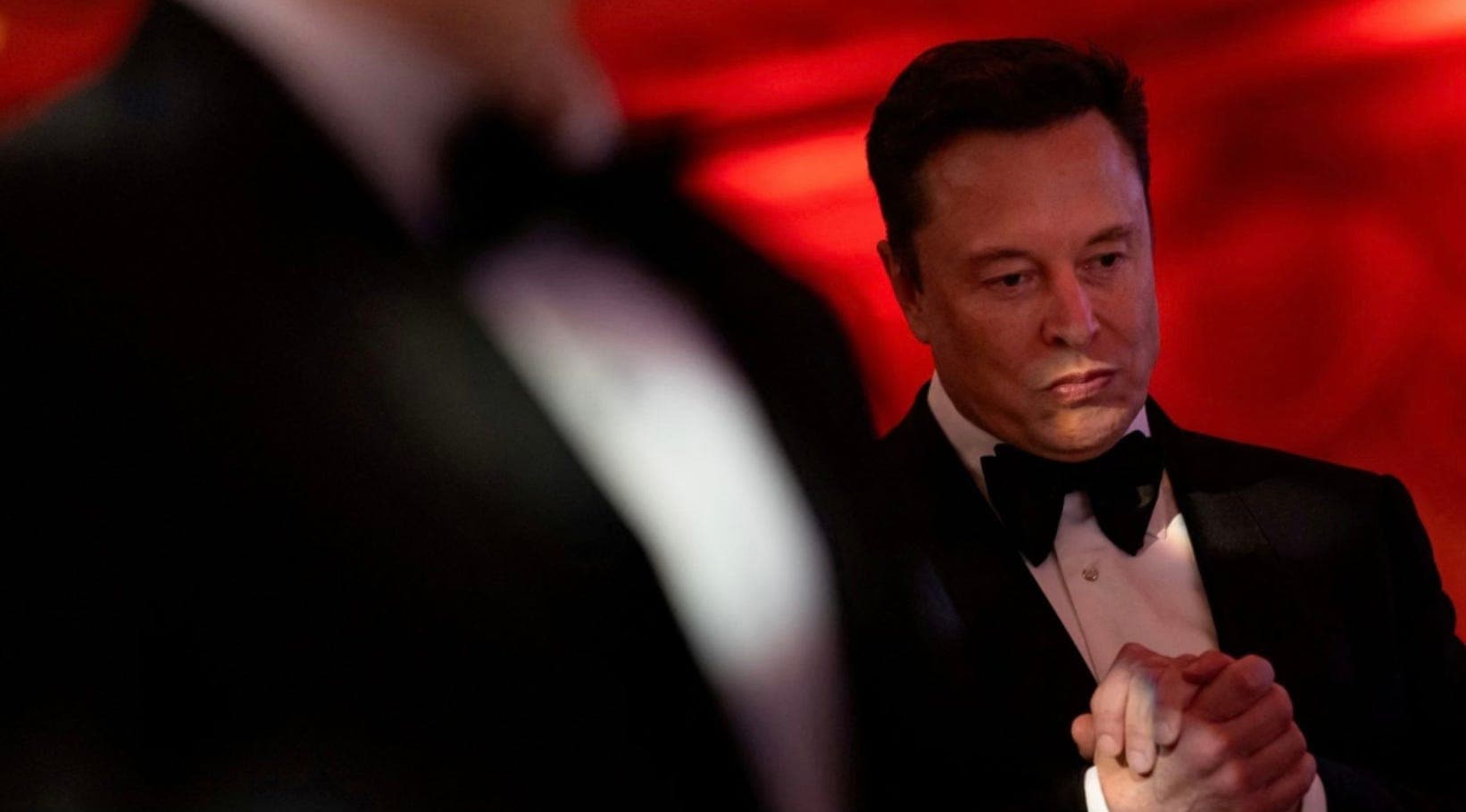 (Audio) President Musk: The Shadow Power Behind Democracy's Decline - Notes From Plague Island cover